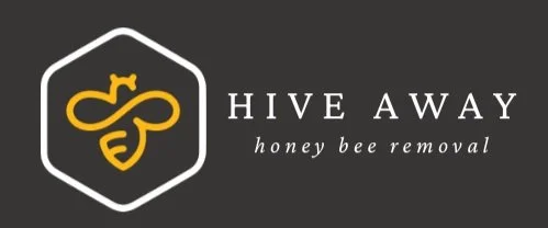 HiveAway