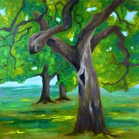 It wouldn&rsquo;t be Oakwood without the oaks. 🌳

Our bar is filled with paintings inspired by real oak trees from around the Hill Country, done by local artist Heather Lehmberg. The first one we&rsquo;re highlighting is the Auction Oak. 

In 1839, 