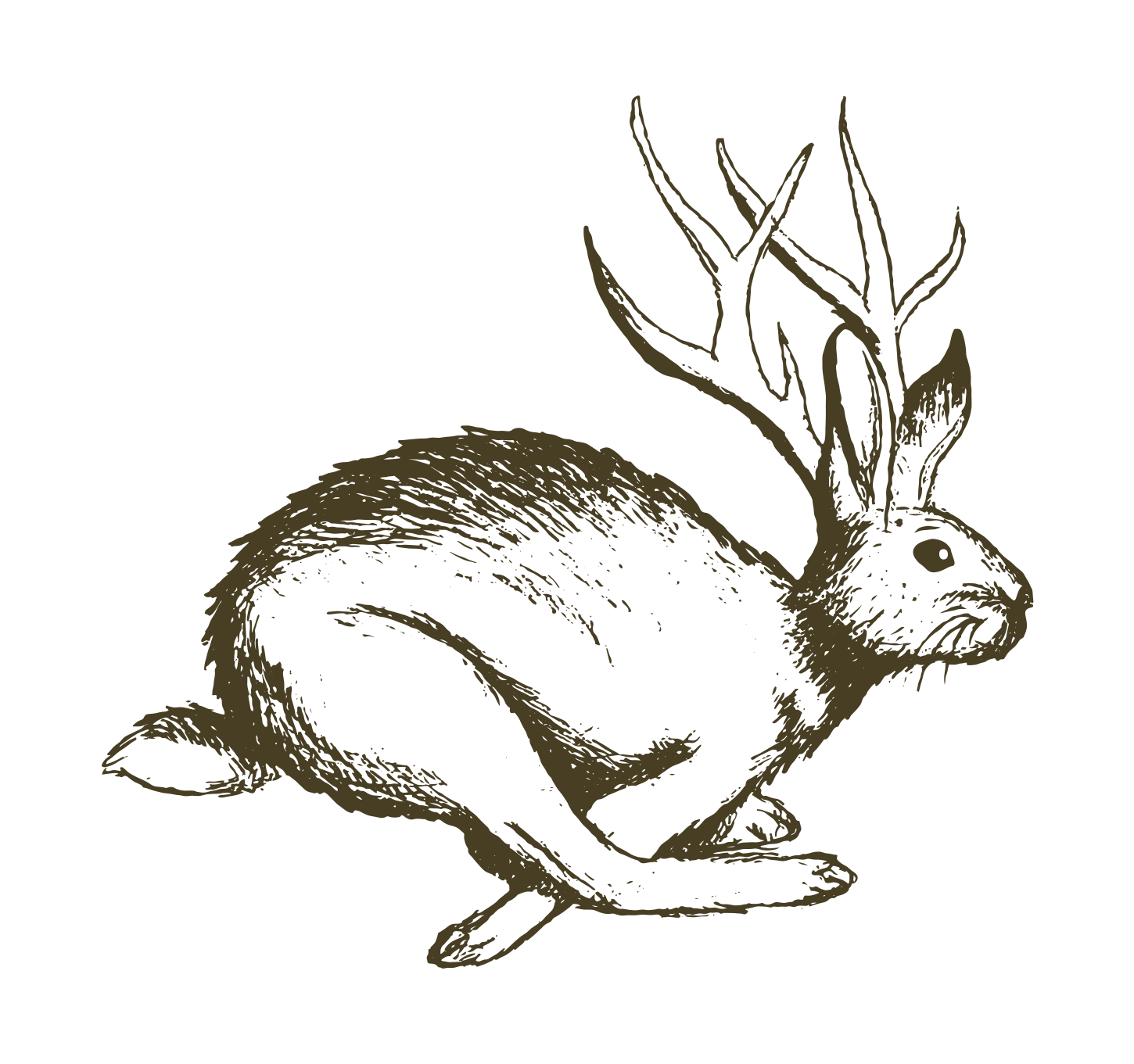The Story Behind the Jackalope — And Why It Lives at Oakwood