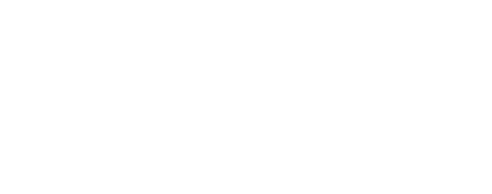 Raycon.png