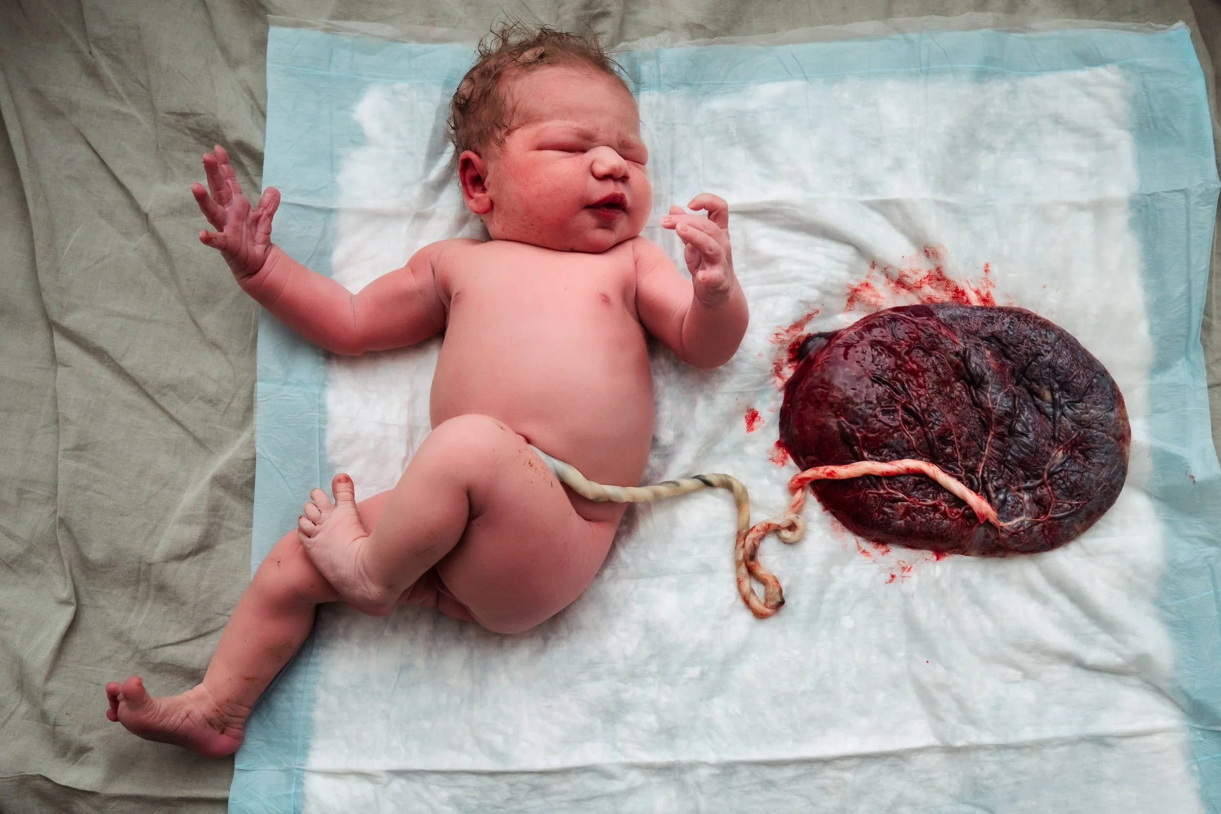 Lindsey-Eden-Doula-Photography-Denver-Birth-Belcher-birth-08166.JPEG