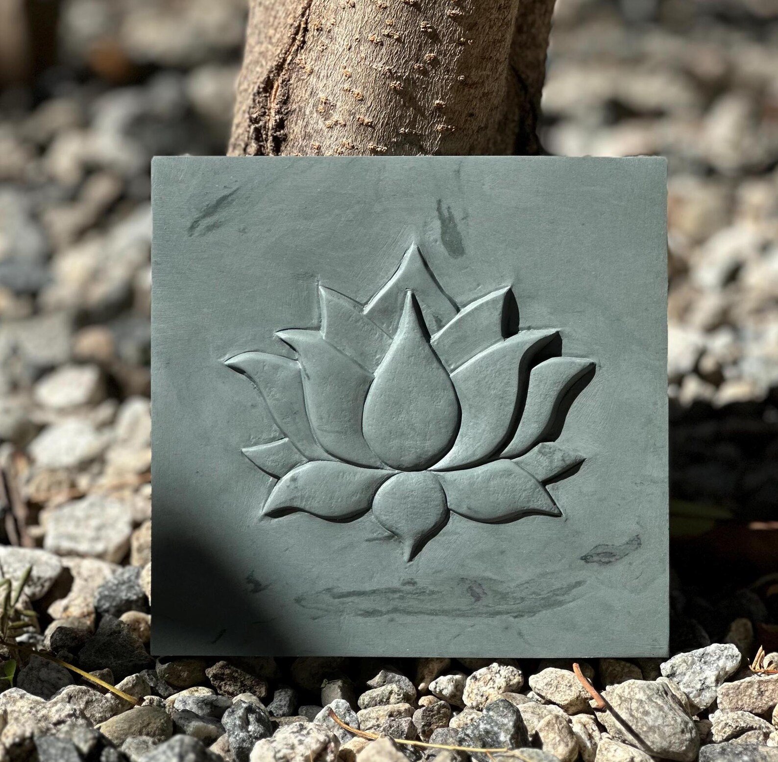 Lotus flower1.jpg