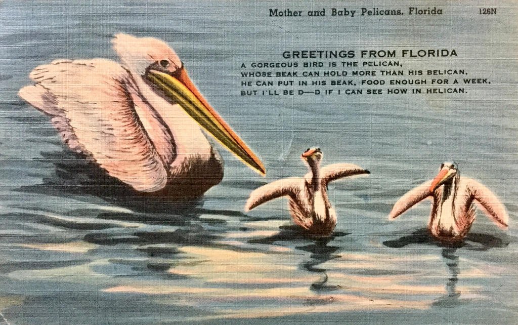 mother_pelican_and_babies_by_yesterdays_paper_dcb3fjf-fullview.jpg