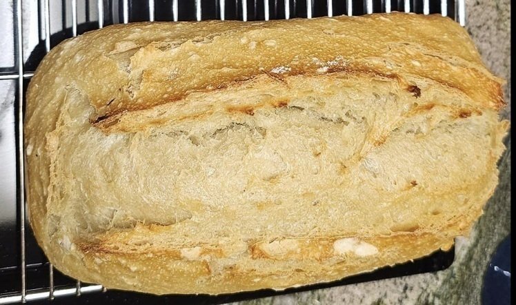 Original (Plain) Sourdough Loaf