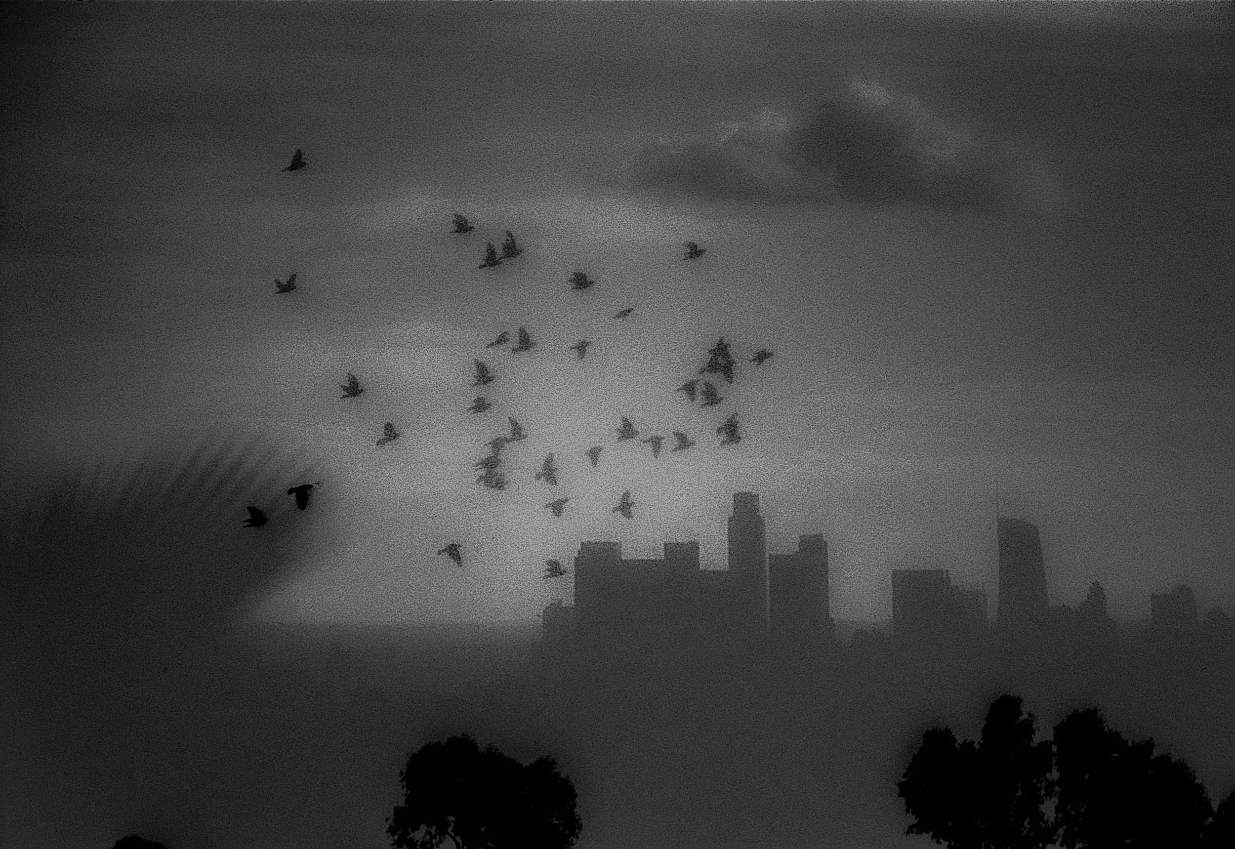SF_1_HP5-9.jpg