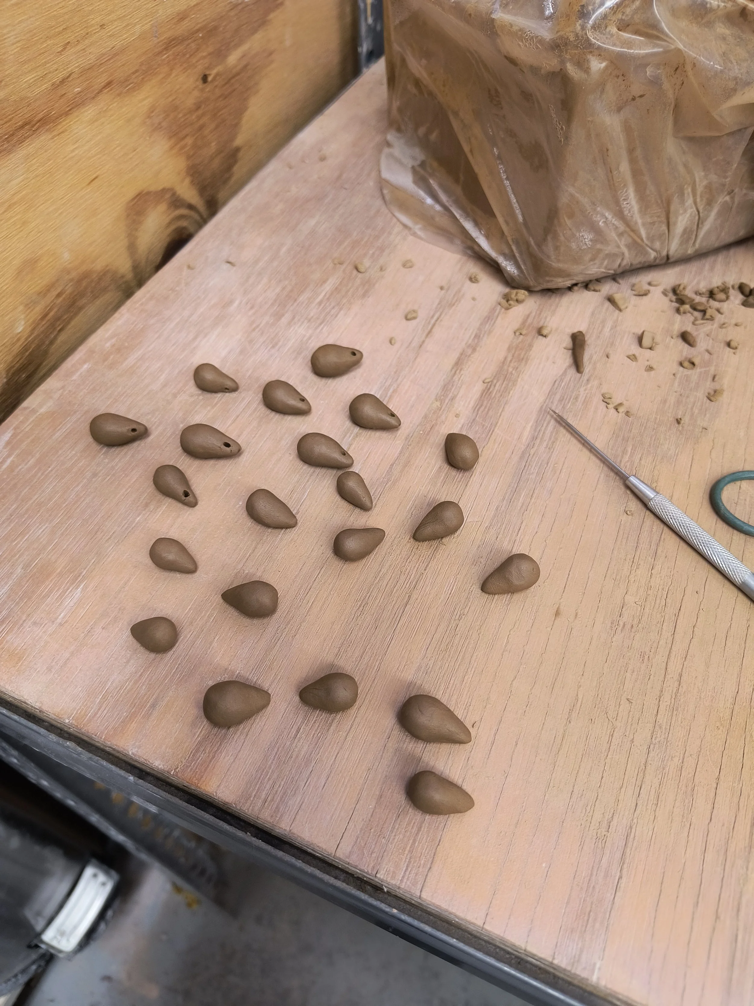 week twelve 11/10-11/16