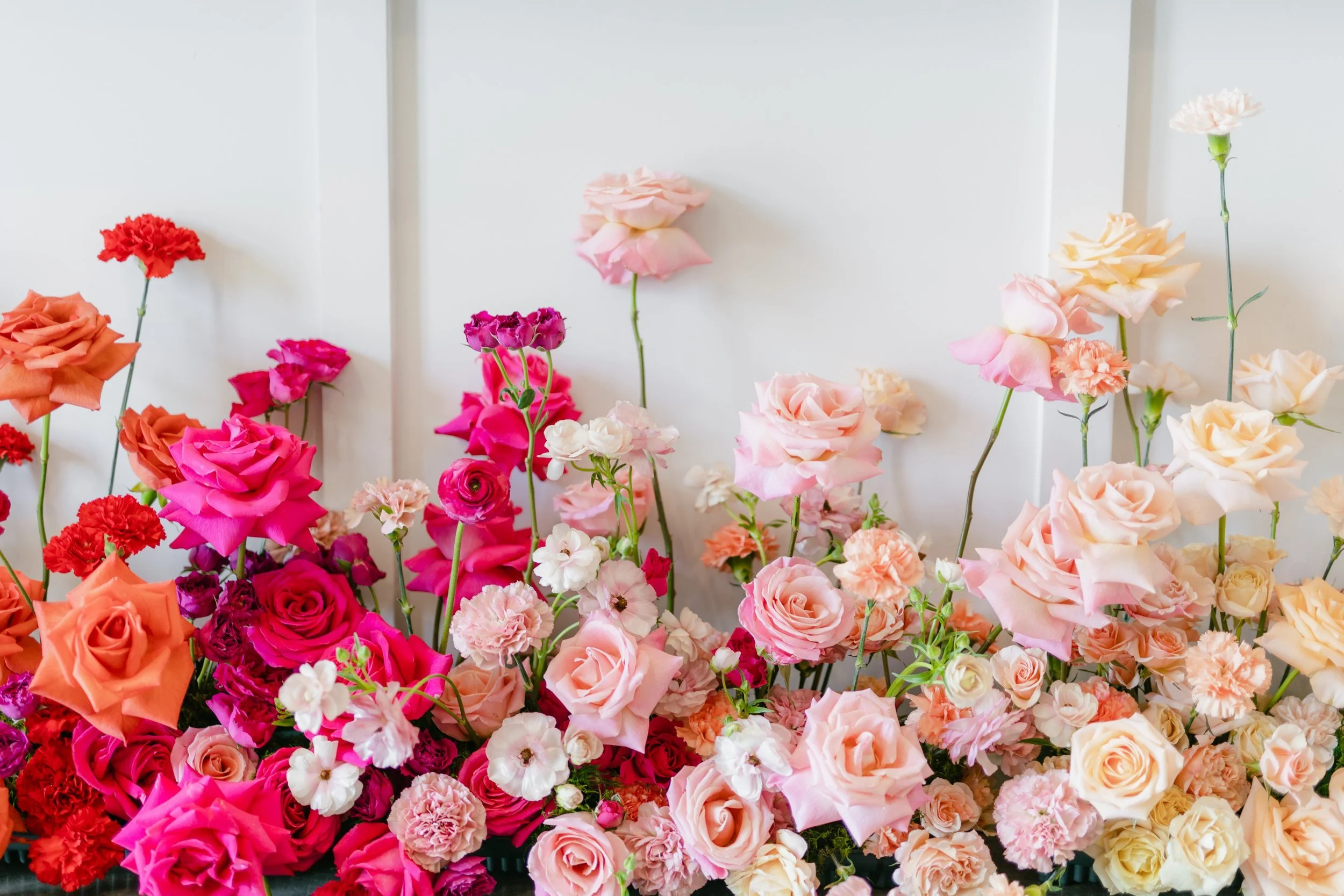 Ground floral installation of pink, coral and red blooms against a white wall