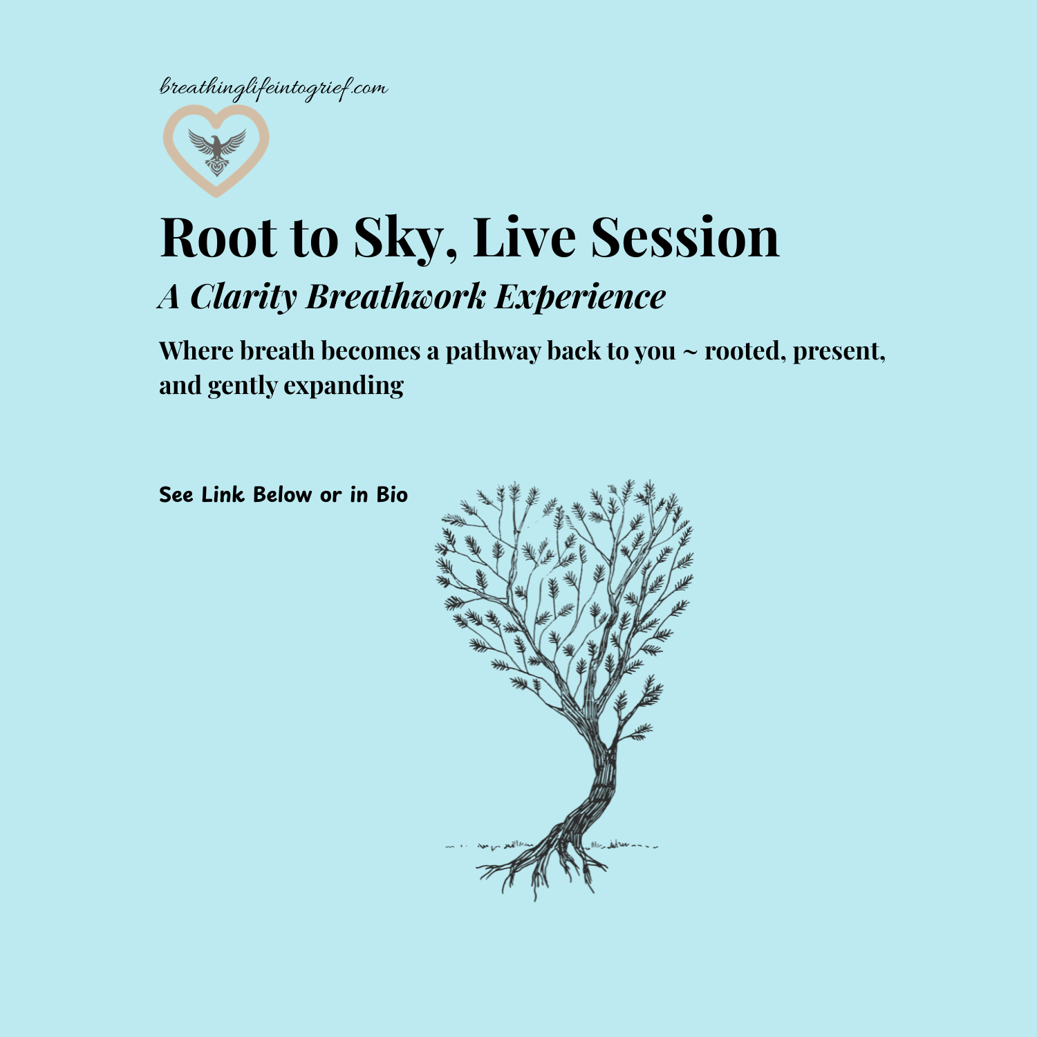 Root to Sky: A Clarity Breathwork Experience with Barbara Caudill