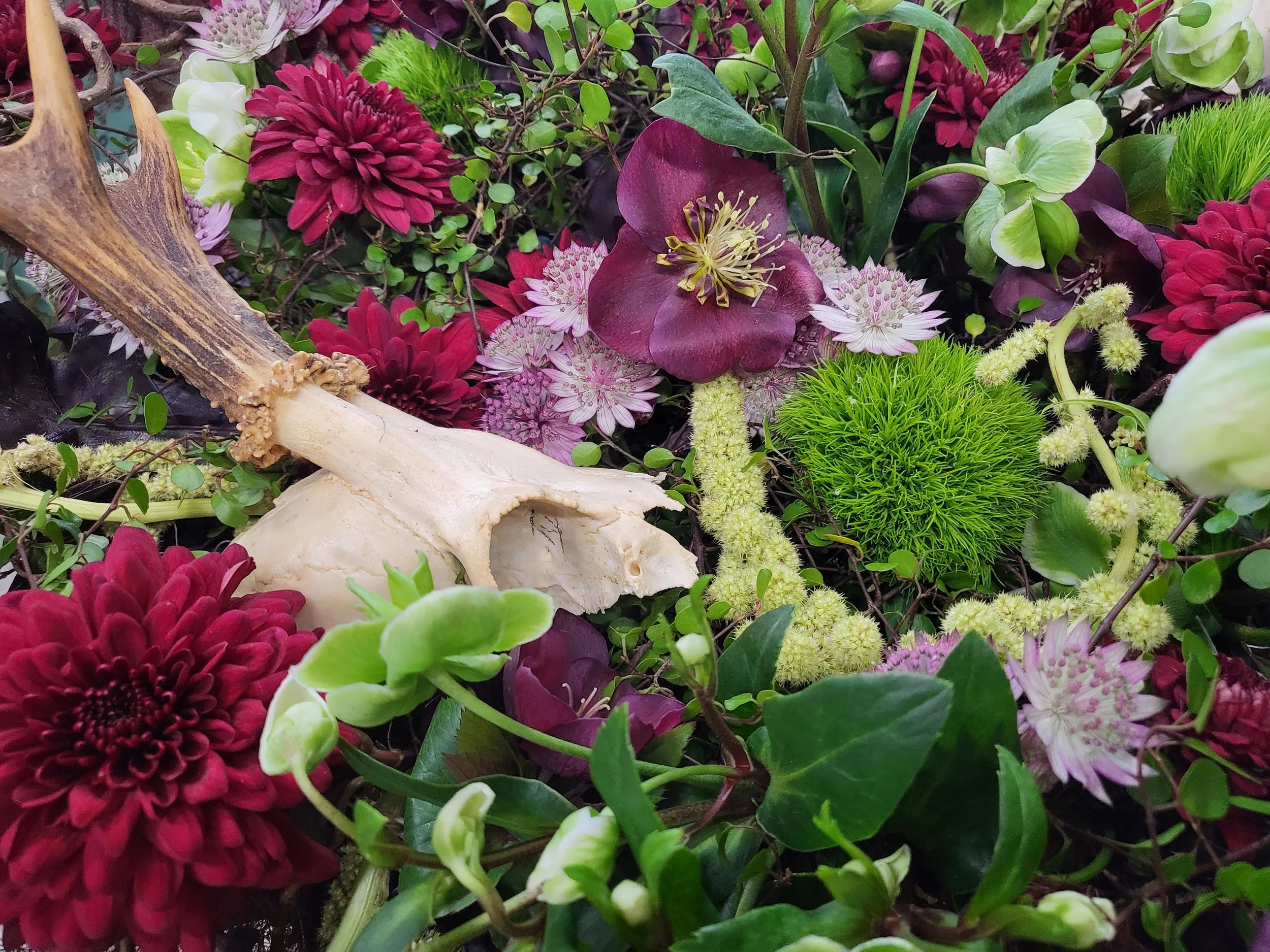 Blanding af røde og grønne blomster med gevir
Mix of red and green flowers with antler