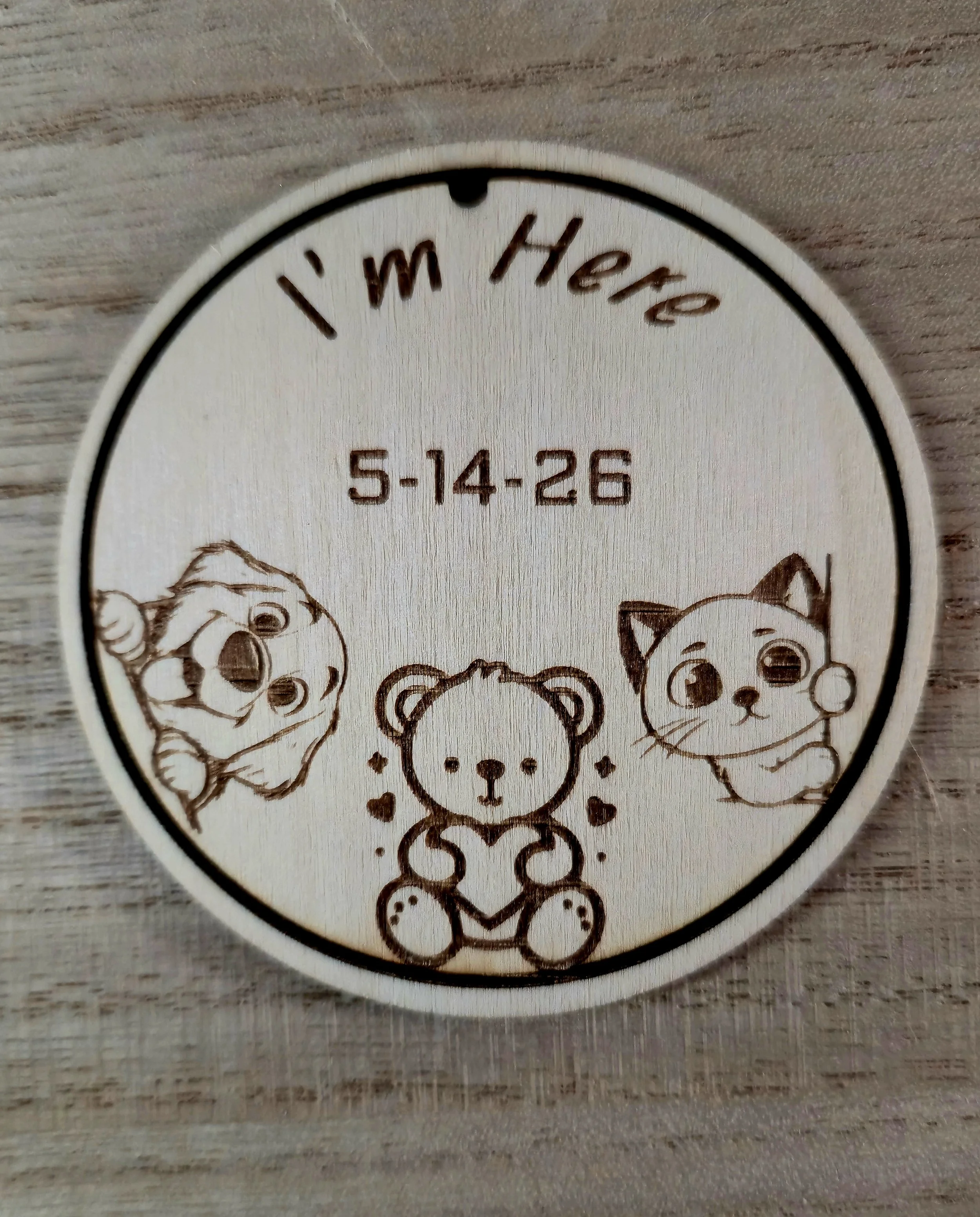 Baby's 1st year discs