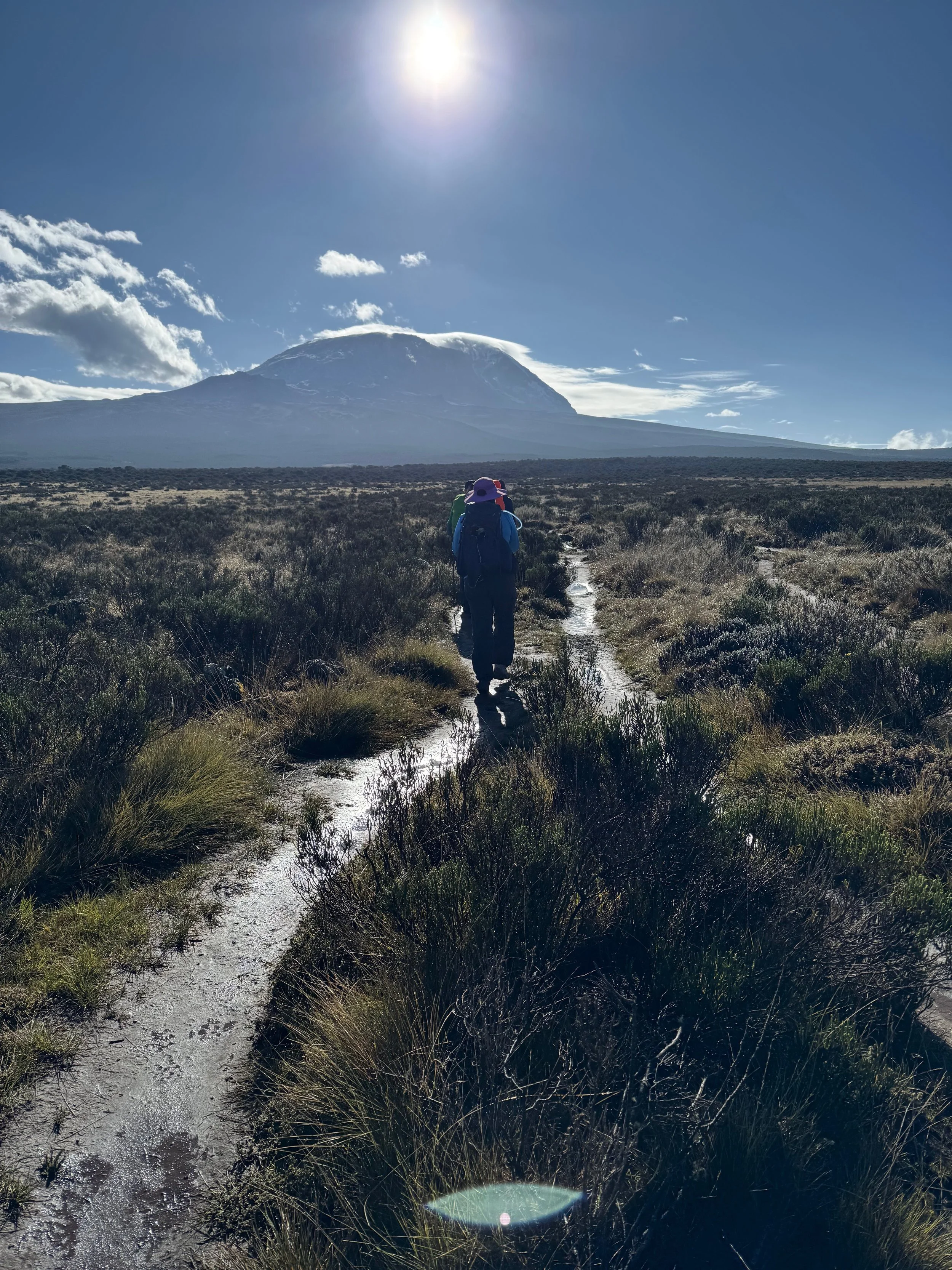 This is a good example of what the trail was often like, when we weren't climbing over rocks.