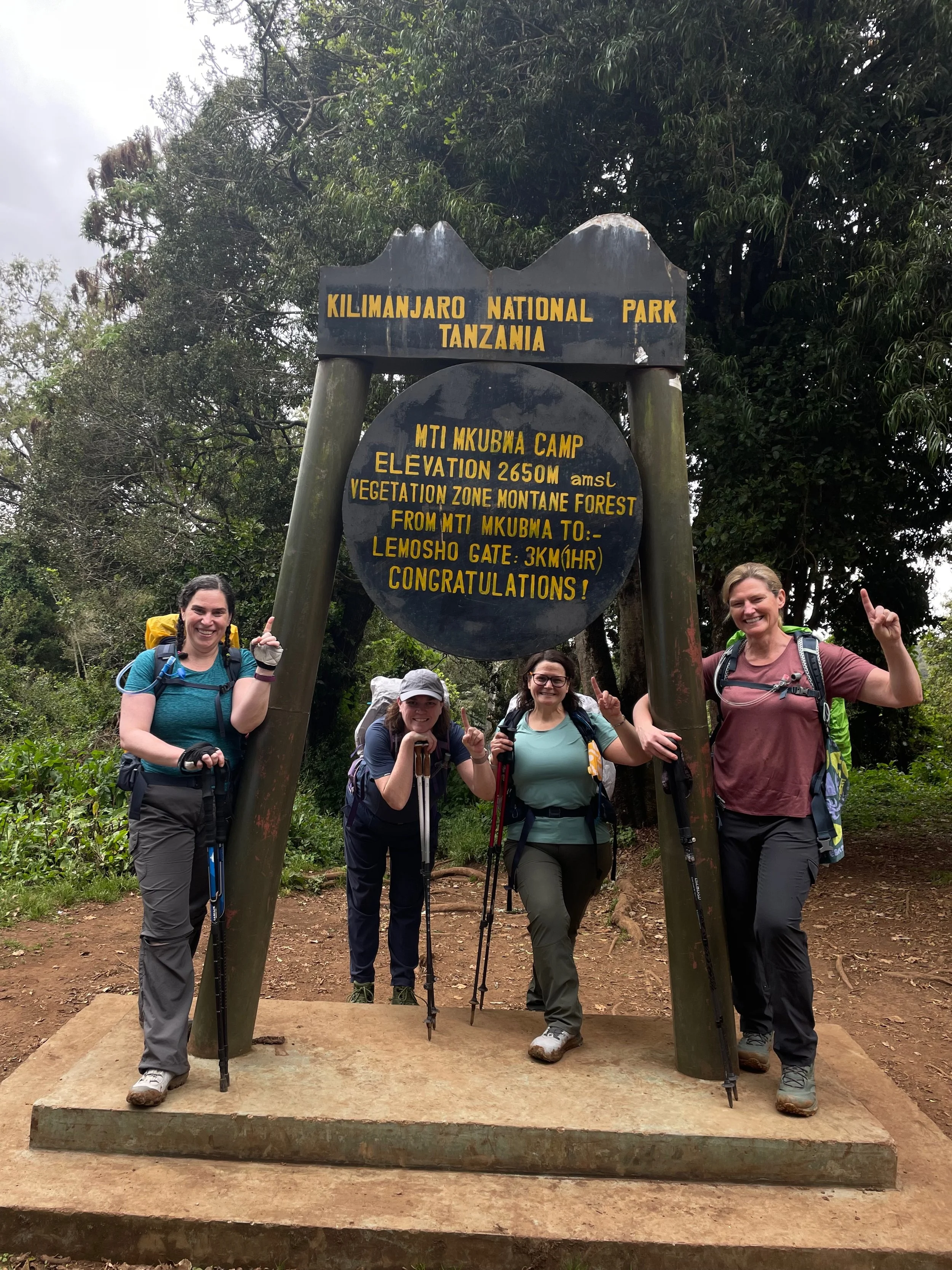 Arriving at Mti Mkubwa (or Big Tree Camp) after our first day of hiking. (9,137ft / 2,785m)