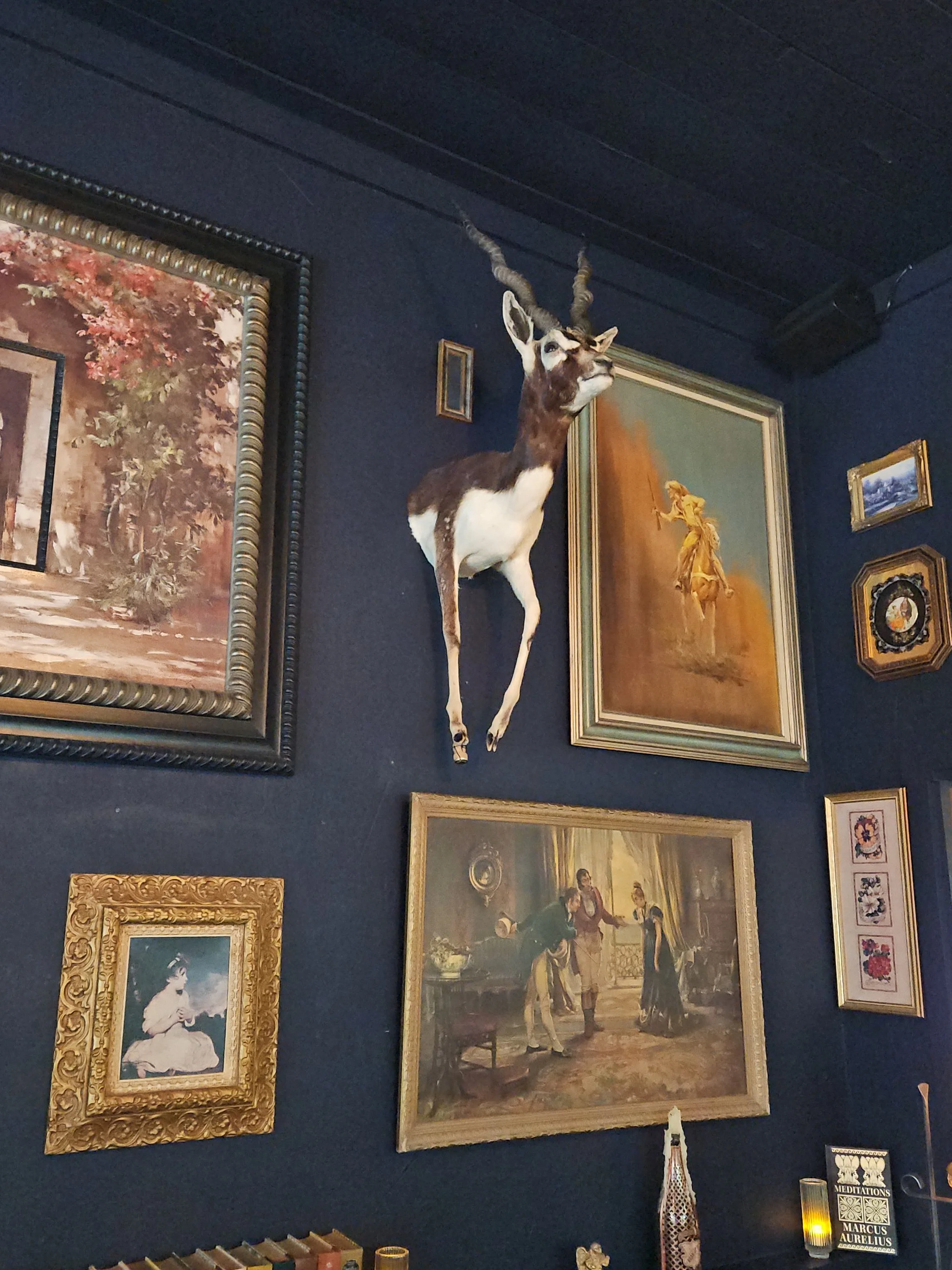 A wall decorated with various paintings and a mounted antelope head with curled horns.