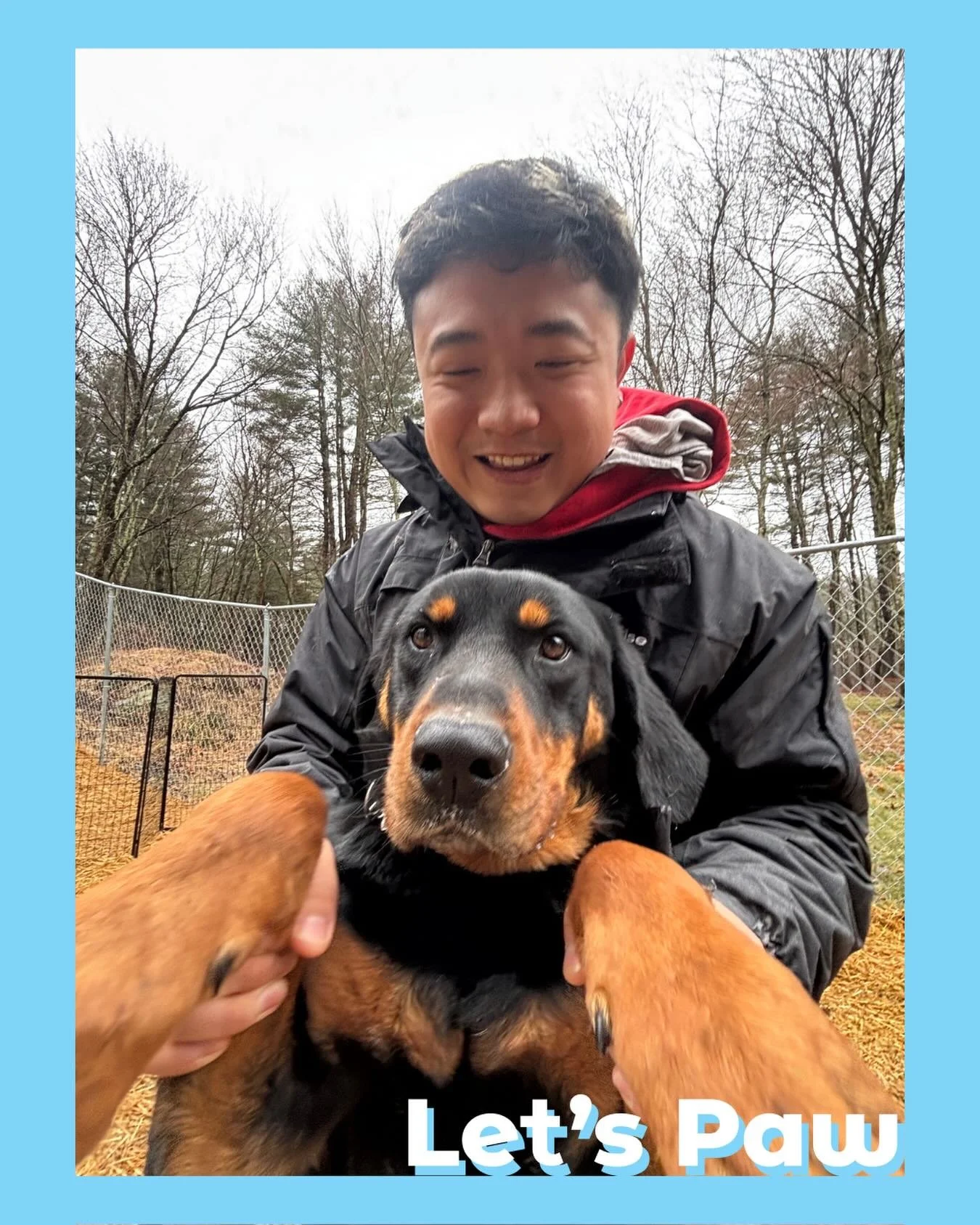 Happy International Puppy Day!! 🤗

#internationalpuppyday