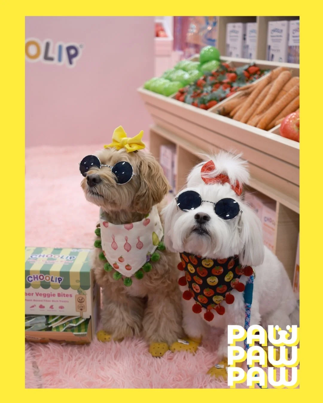 A few of the faces we met during our trip to SuperZoo 2026 in Las Vegas 🐶🐱🐾

We came for the pet industry&rsquo;s latest products and ideas&hellip; but obviously got distracted by the animals. 🧡

#superzoo #petindustry #petsofinstagram #petstagra