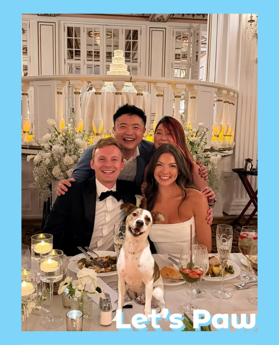 Funny how Charlie &amp; Leo brought us together. Feeling extra lucky to celebrate your love today. Wishing you two a lifetime of love and happiness 🤍