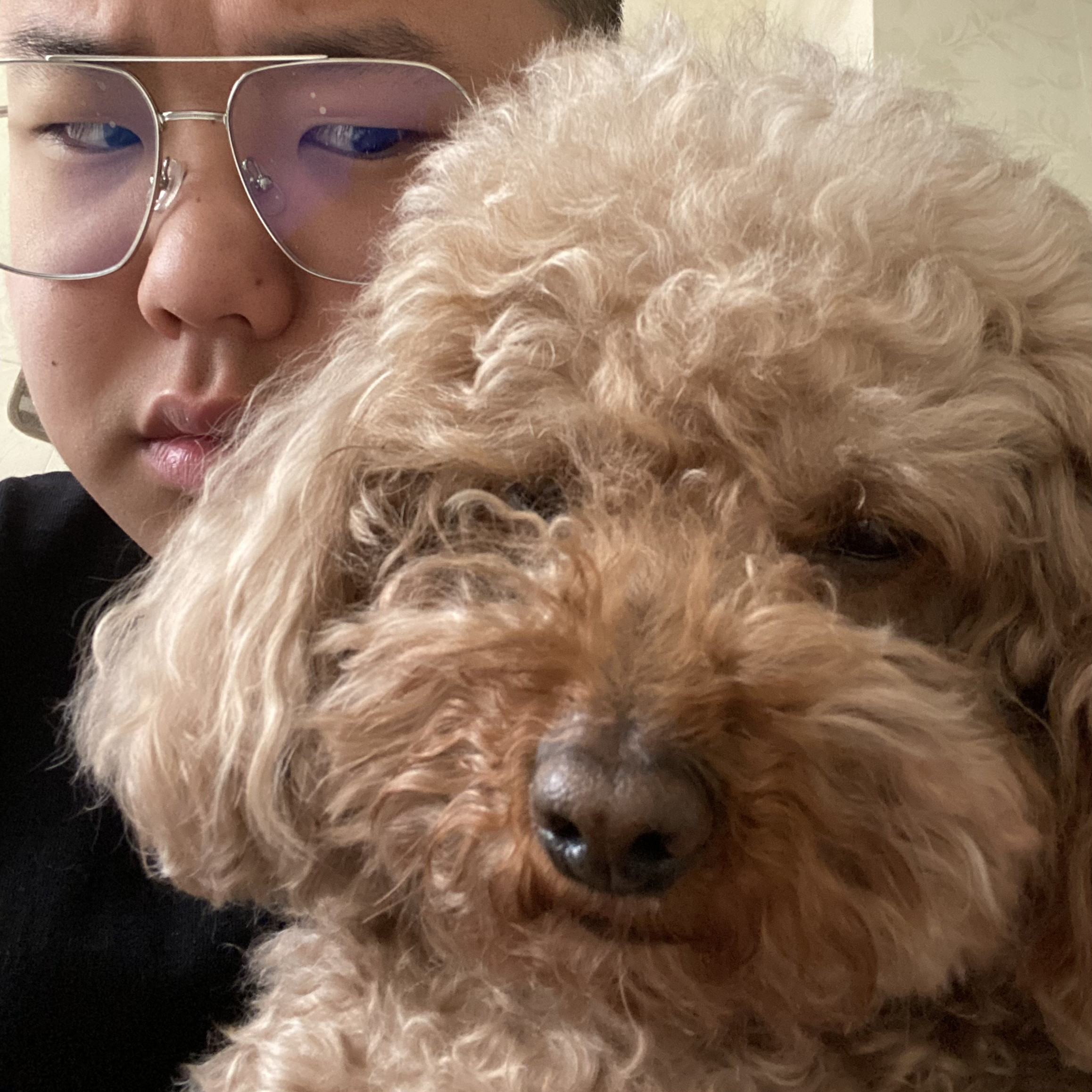 A person with glasses taking a close-up selfie with a curly-haired dog.
