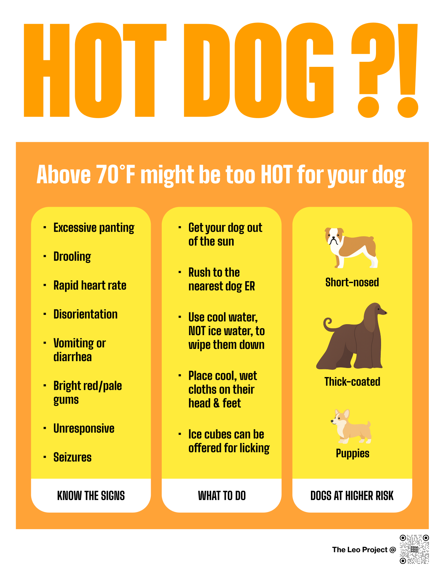 An infographic warning about the risks of hot weather above 70°F for dogs. It lists signs of heat danger such as excessive panting, drooling, rapid heart rate, disorientation, vomiting or diarrhea, bright red/pale gums, unresponsive, and seizures. It provides tips to keep dogs safe, like getting them out of the sun, rushing to the vet if needed, using cool water to wipe them down, placing wet clothes on their head and feet, and offering ice cubes for licking. There are illustrations of a short-nosed dog, a thick-coated dog, and puppies, with headings indicating signs to know, what to do, and high-risk dogs.