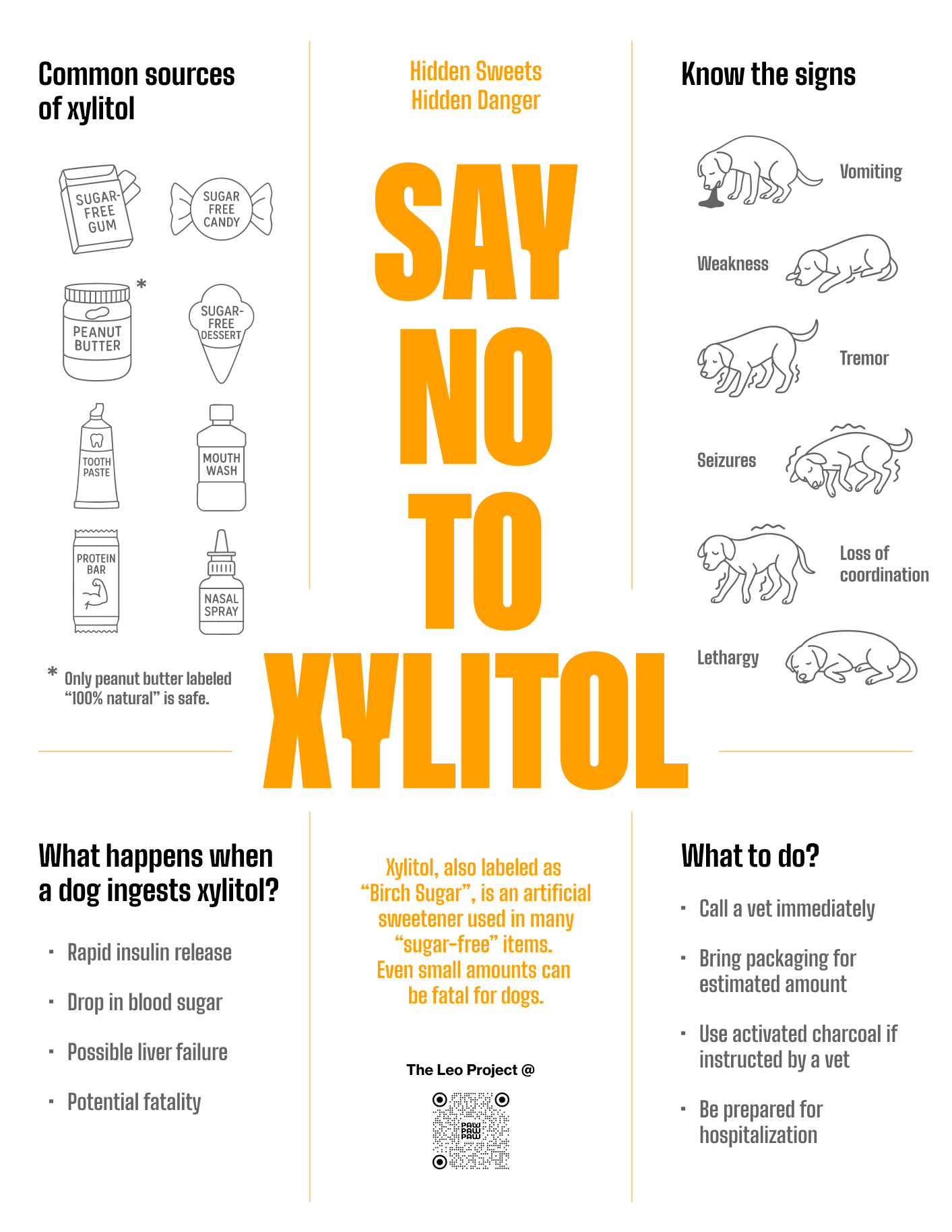 An informational poster warning about xylitol, a sweetener found in sugar-free gum, candy, peanut butter, desserts, toothpaste, mouthwash, protein bars, and nasal sprays. It highlights the dangers of ingestion by dogs, such as rapid insulin release, blood sugar drop, liver failure, and potential death. The poster advises pet owners to call a vet, bring packaging, use activated charcoal if instructed, and be prepared for hospitalization.