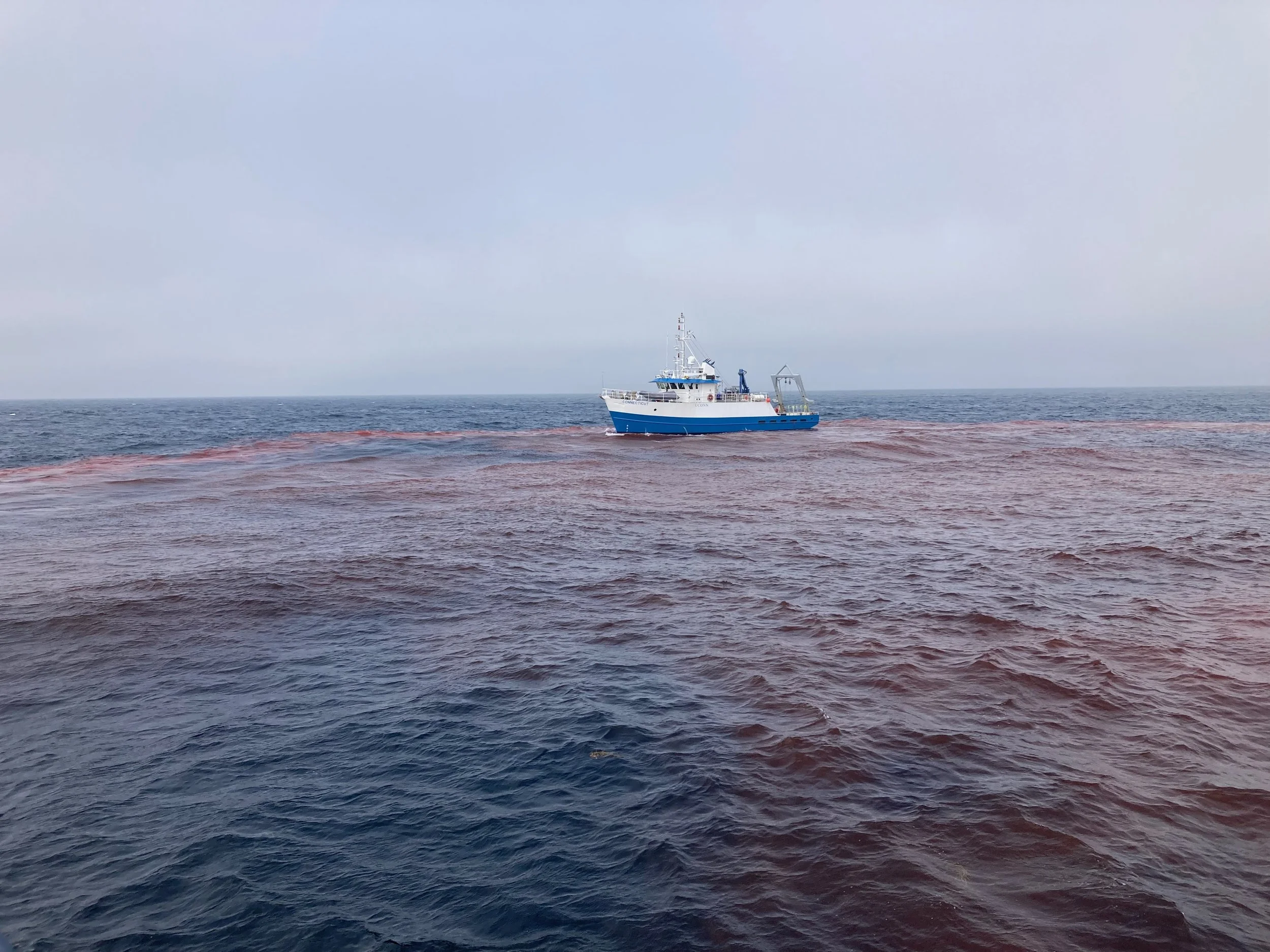 R/V Connecticut stayed on site four more days