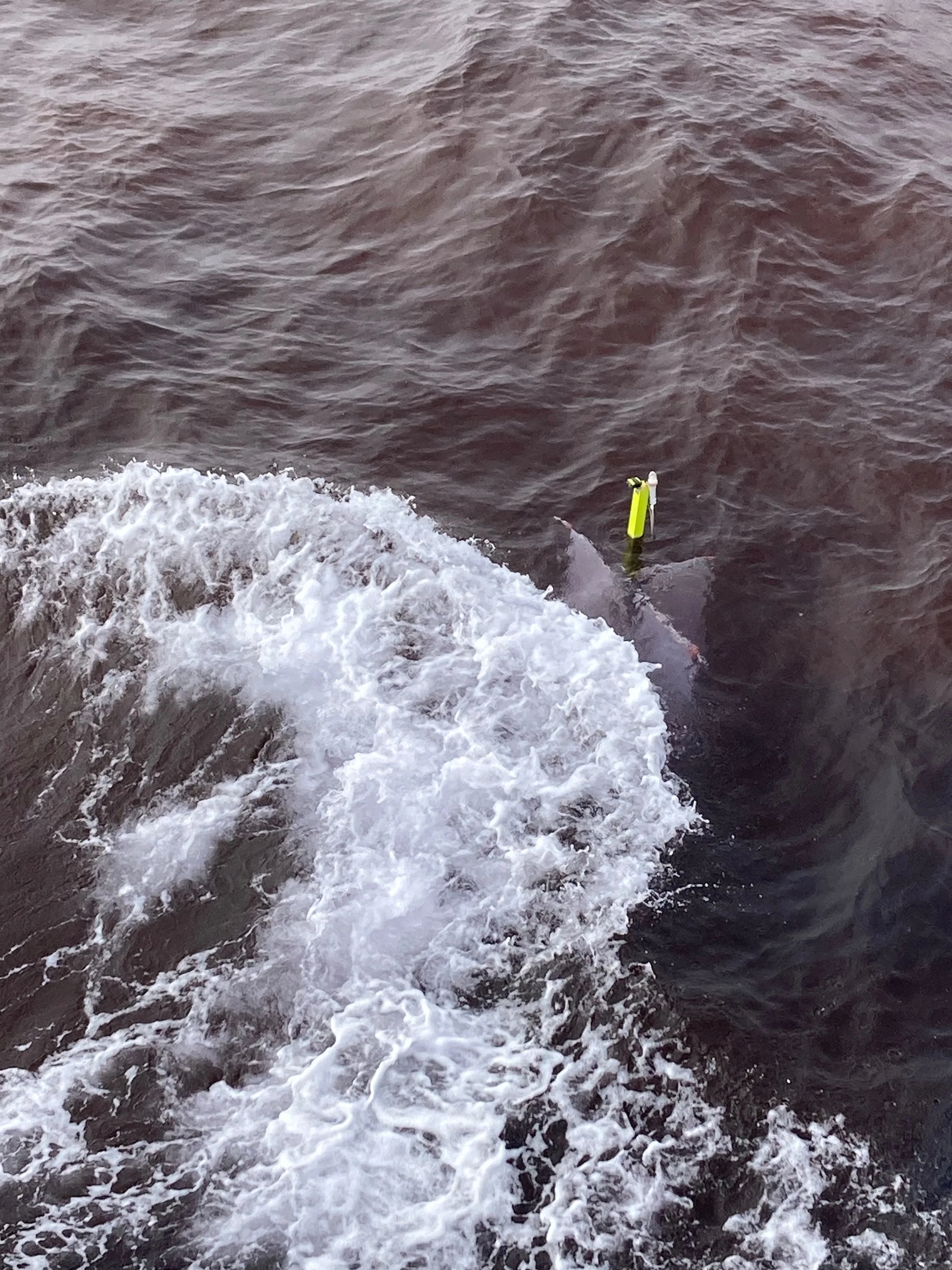 A drifter buoy makes an appearance