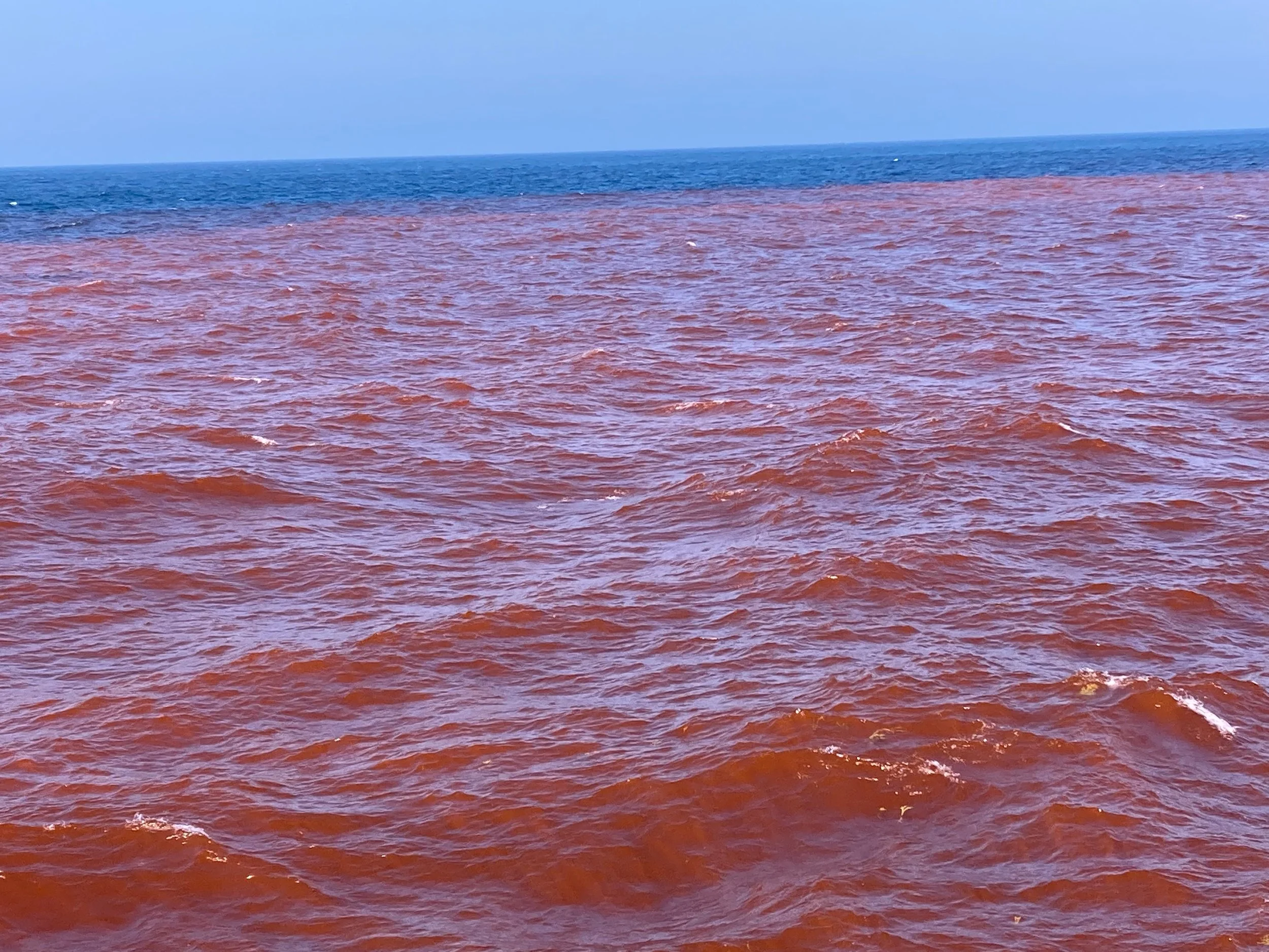 "We painted the ocean red"