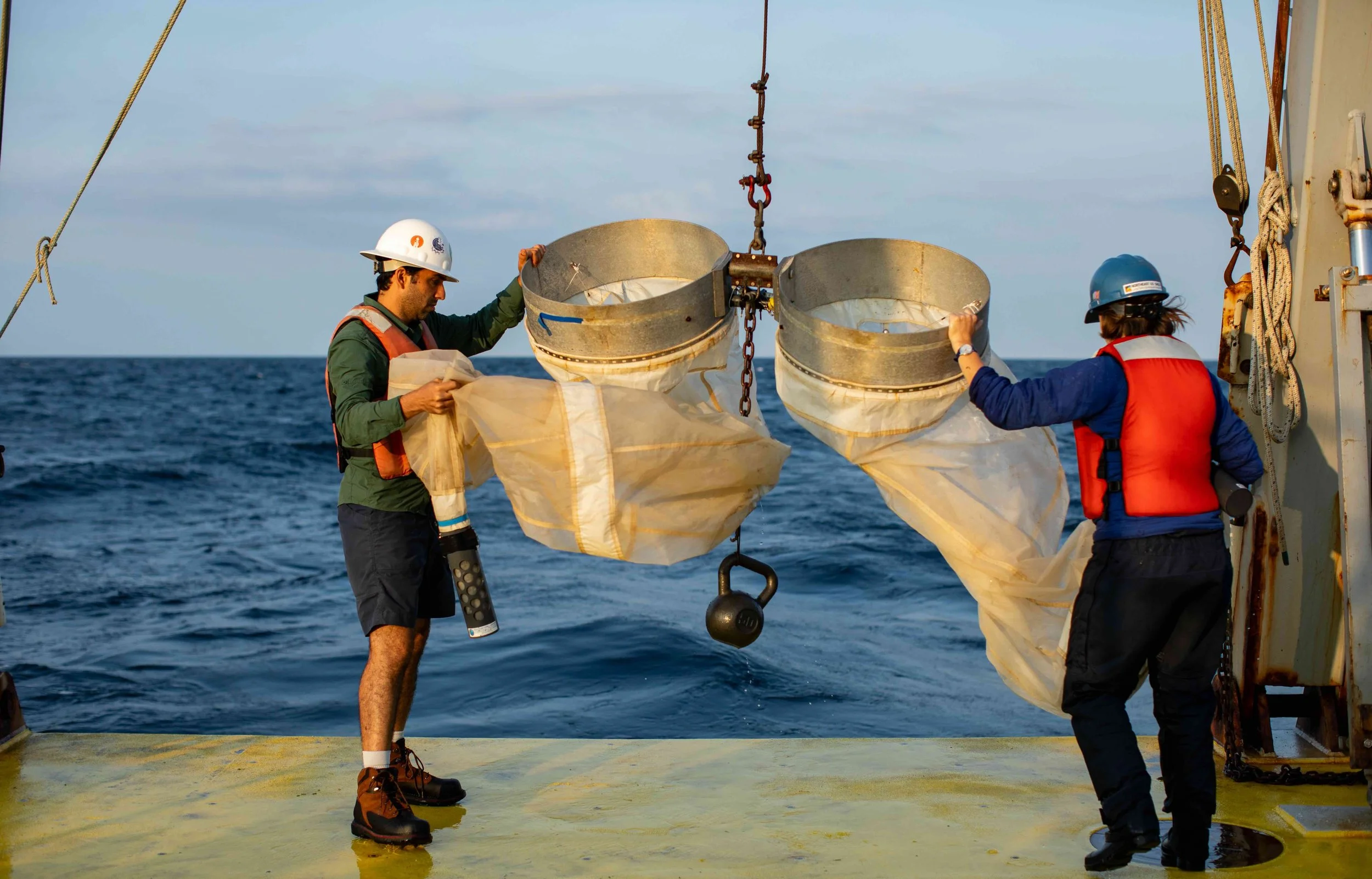 Deploying a Bongo plankton net off the stern of the R/V Connecticut