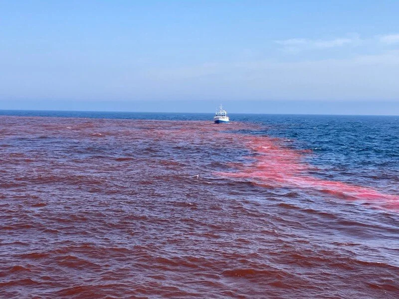 Gulf of Maine sees first open-water ocean alkalinity enhancement field trial in US