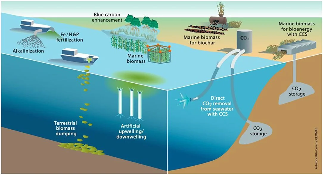 Industry puts forth guidance on a 'fishery sensitive' approach to marine carbon dioxide removal&nbsp;