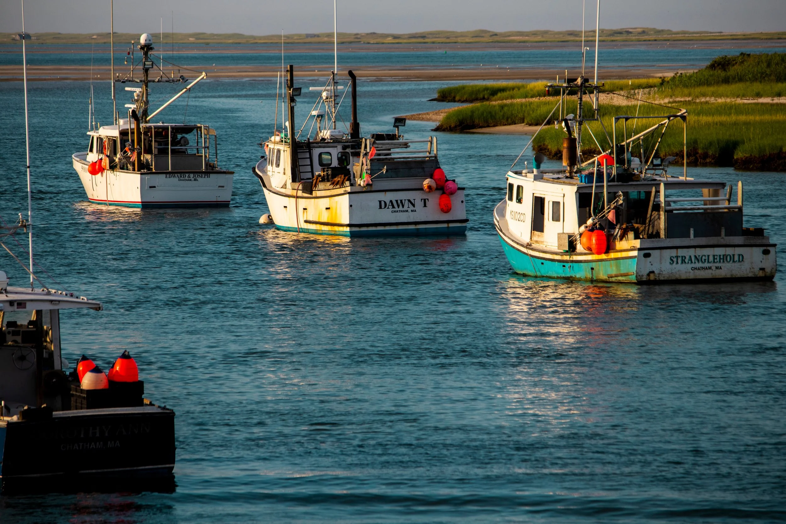 "Fueling the Future of Fisheries" Cape Cod
