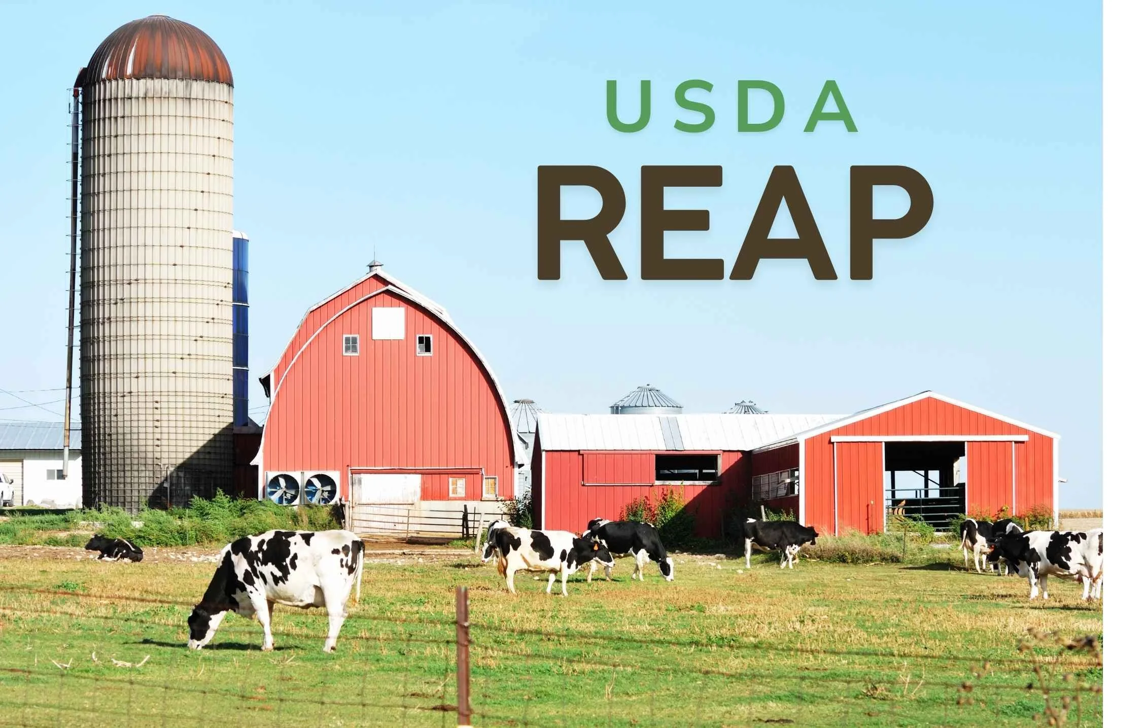 USDA REAP