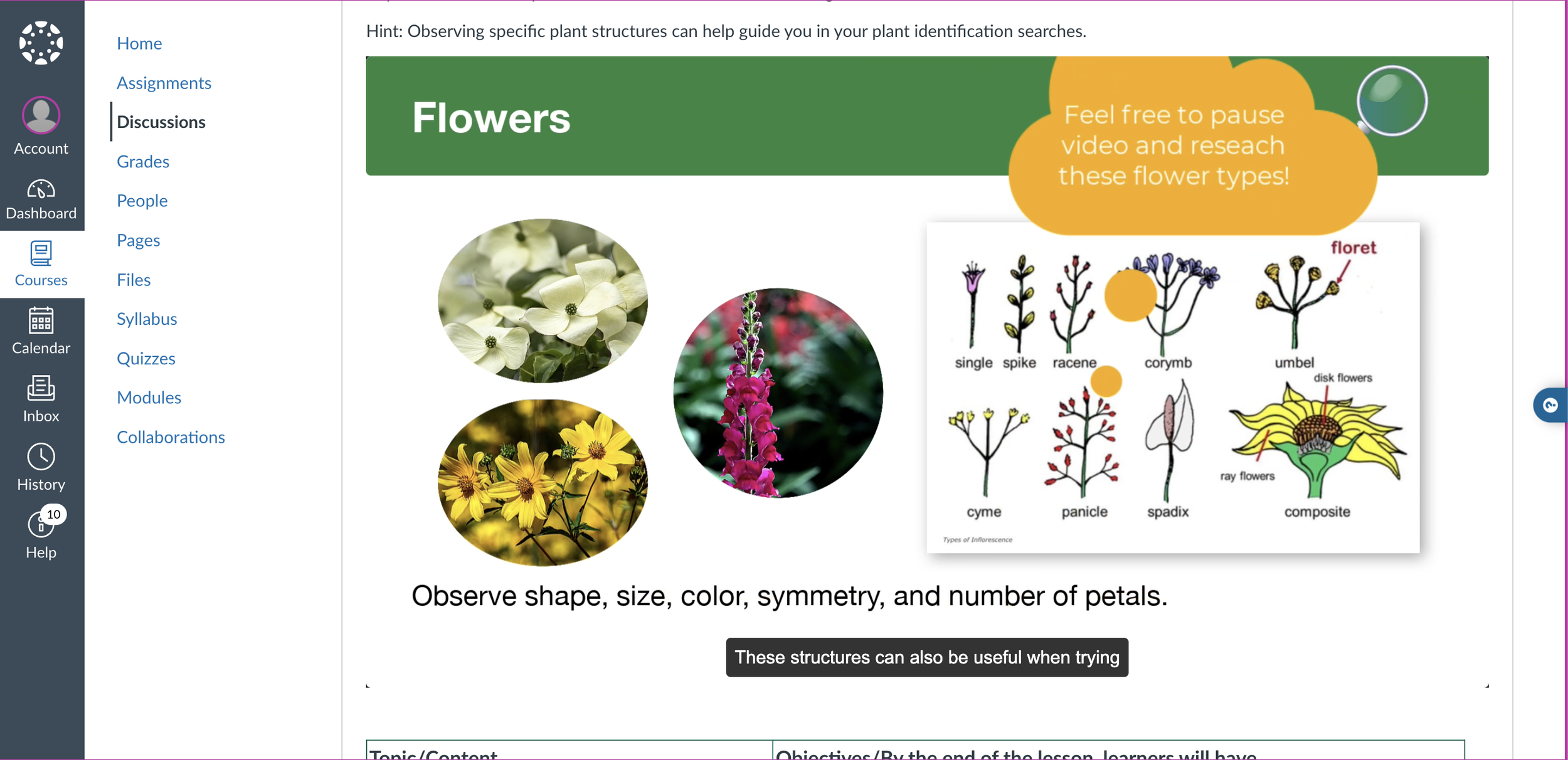 Embedded interactive presentation