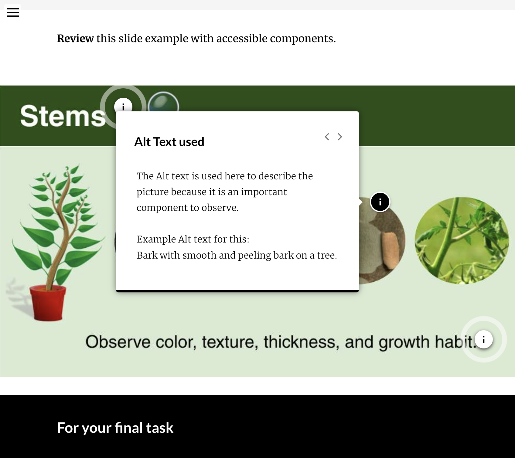 Embedded interactive presentation