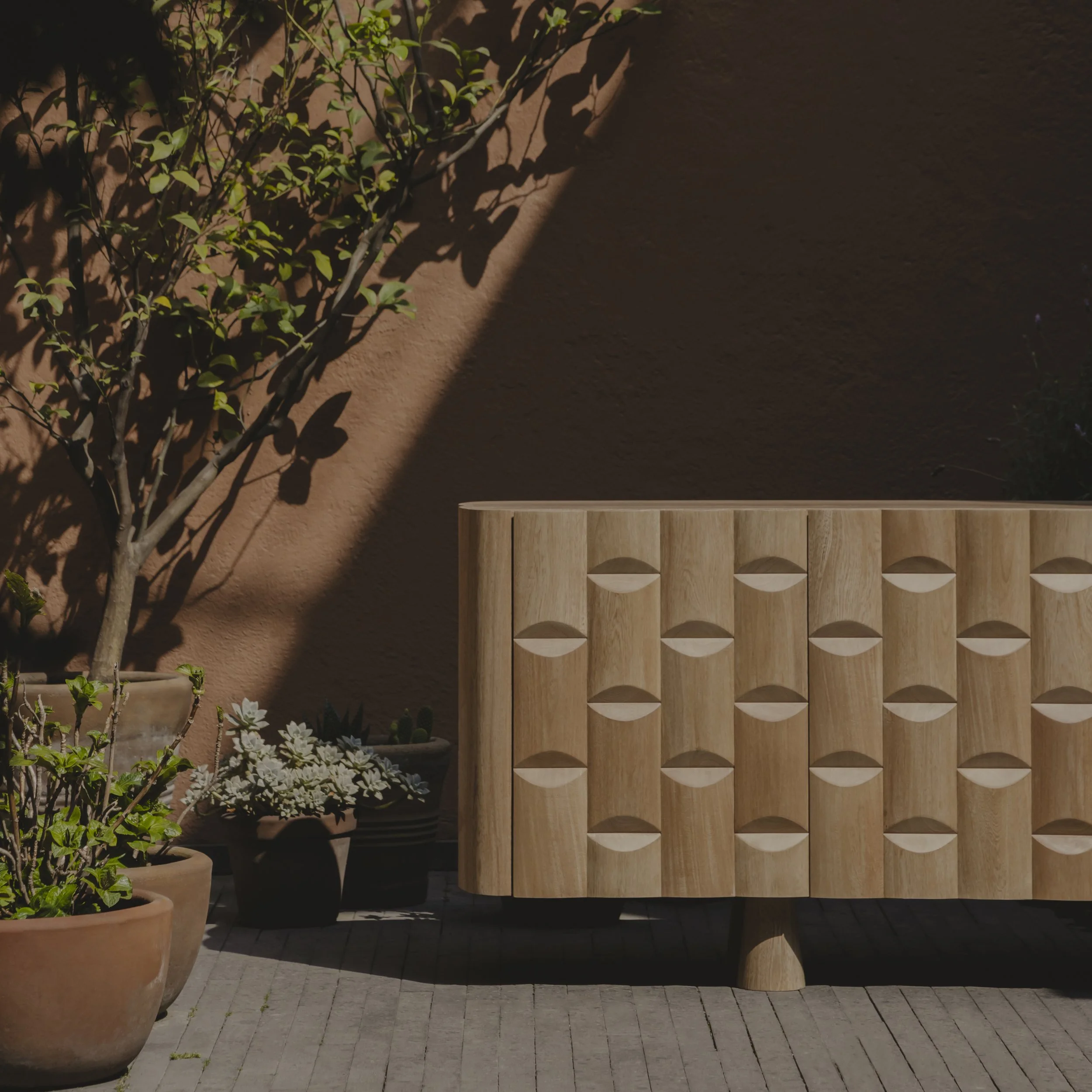 Phloem Credenza by Ricardo Rodríguez Elías