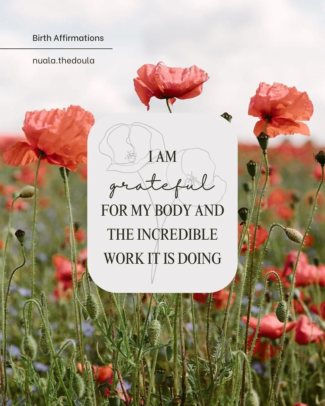 It is important to remind ourselves a few things during labour and birth. repeat these to yourself and know, you got this! 
.
being *grateful* that we can trust our bodies to grow a baby and change and evolve to then birth a baby 🫶🏻 
.
feeling *cal