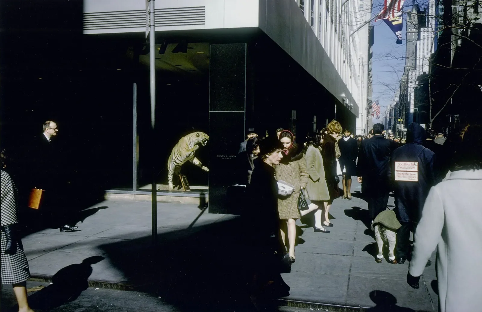 Joel Meyerowitz