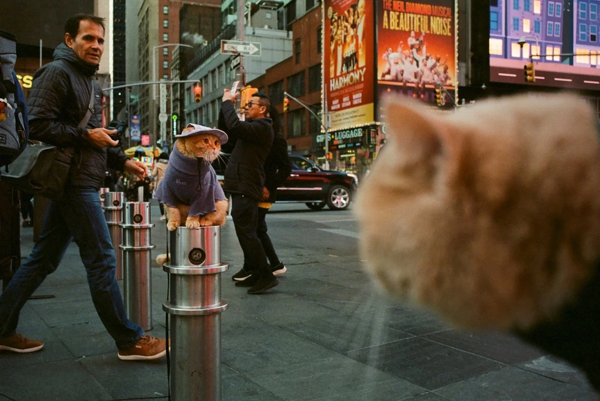 Daniel Arnold,  NYC, 2023,  on Mission Project’s Focus blog by Mary Pratt