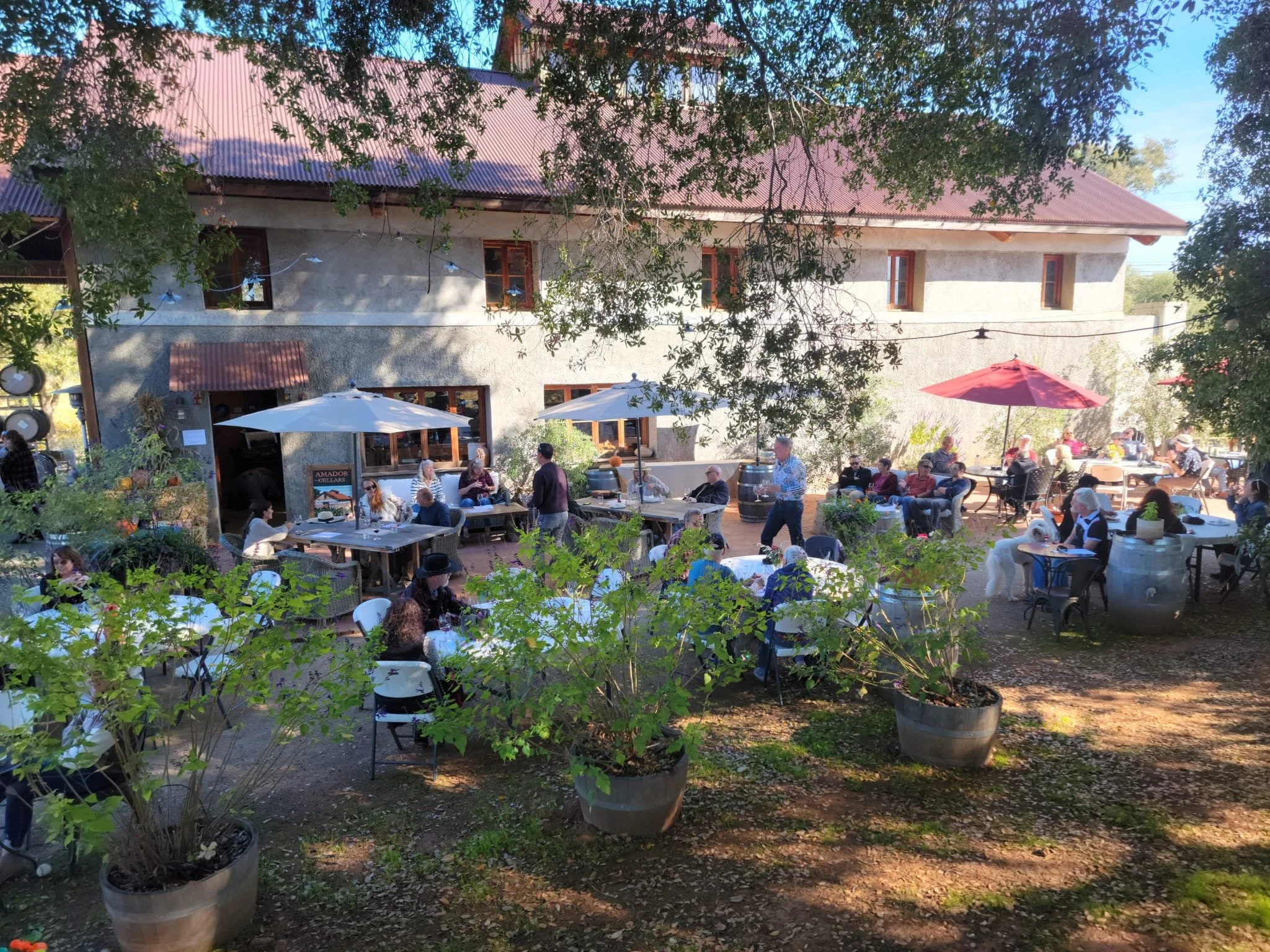 Cellar Club Pick-up Party!