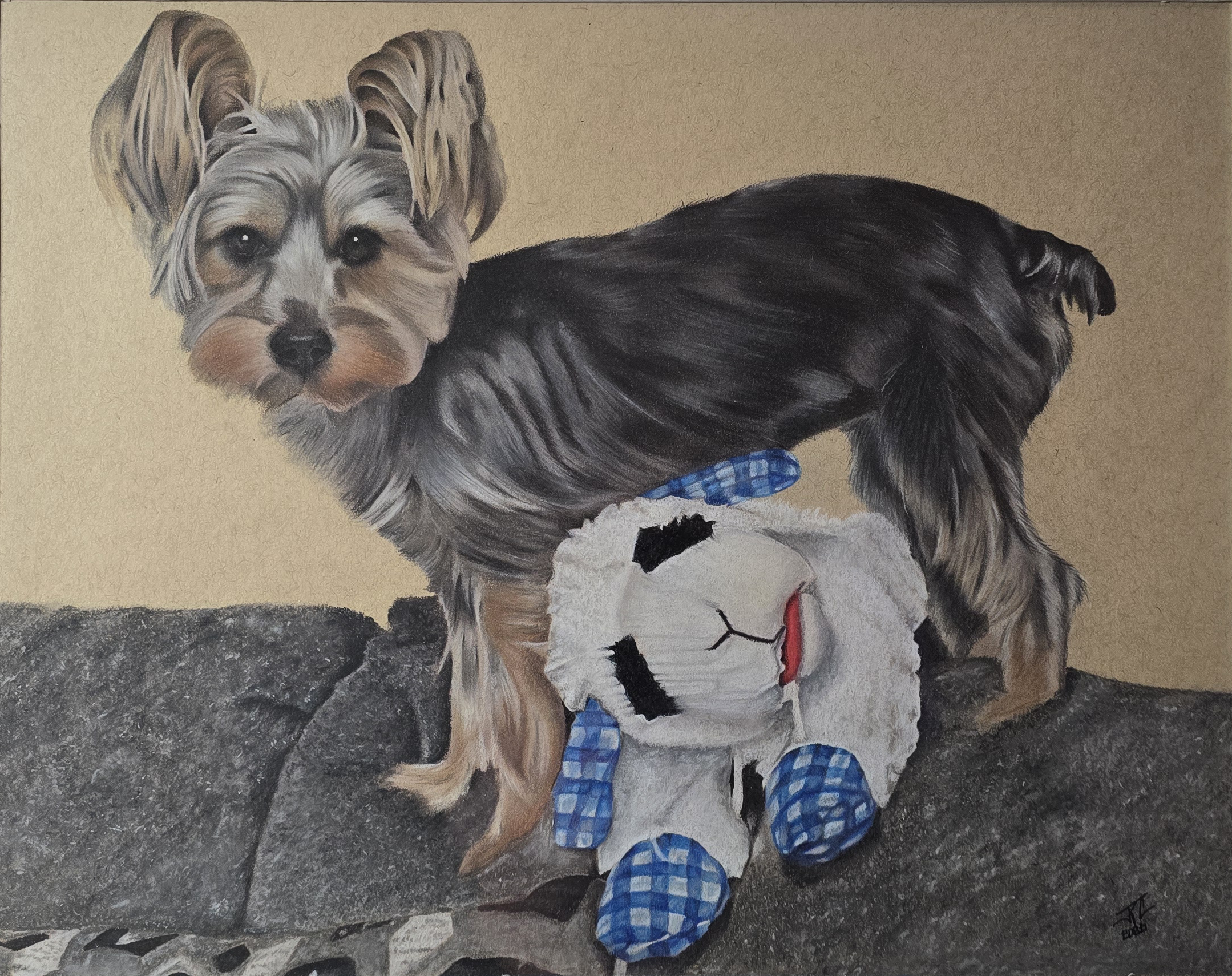Jude © - By Jessica Colwell, Nader's Artistry. Charcoal, Colored Pencils, Animal Portraits, Realism