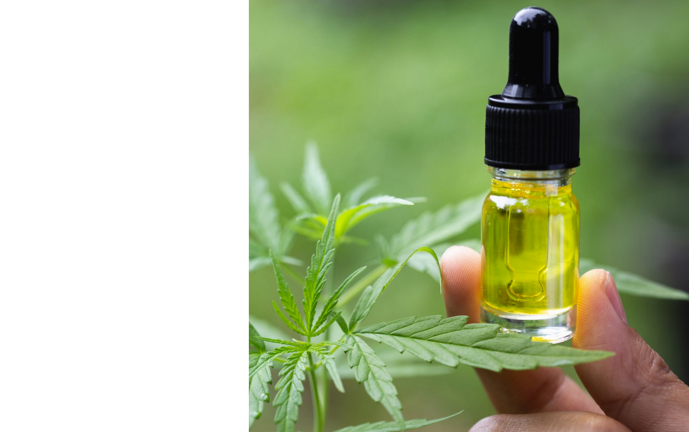 Using A.I to Microdose CBD 