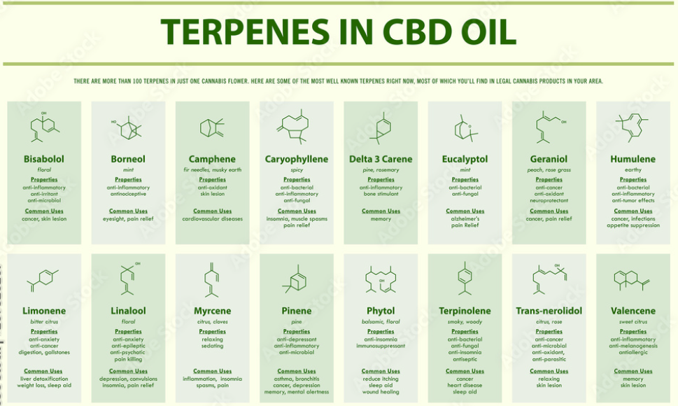 Role of Terpenes in Cannabis 