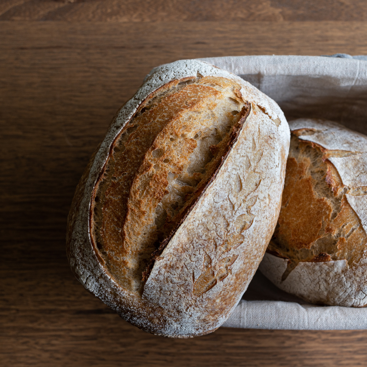 Rustic flour-dusted sourdough loaves on a wooden table