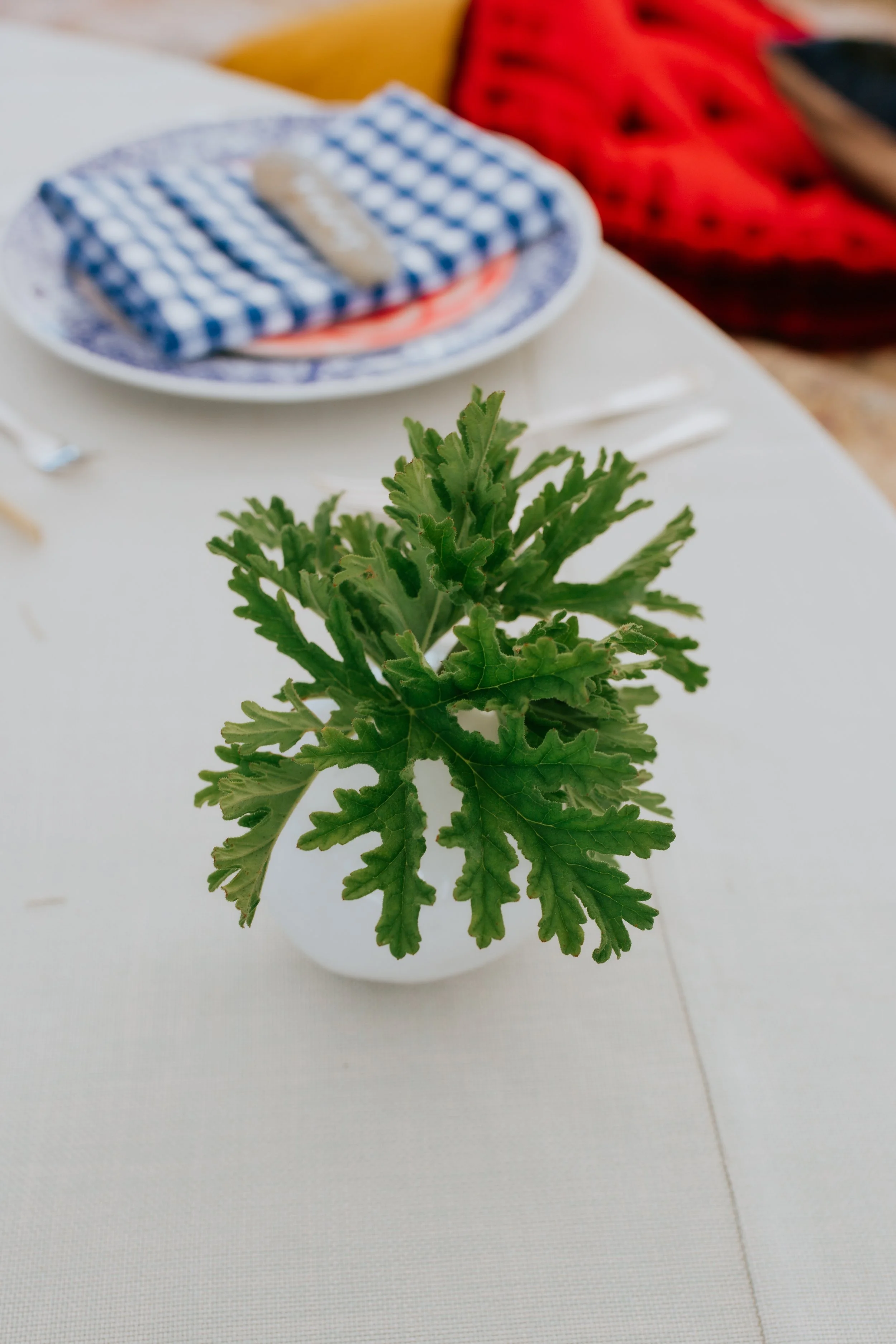 Maine Wedding Rentals A Family Affair (22).jpg