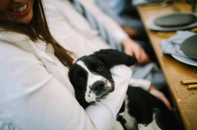 AFA Rentals Camp Wedding 61.png