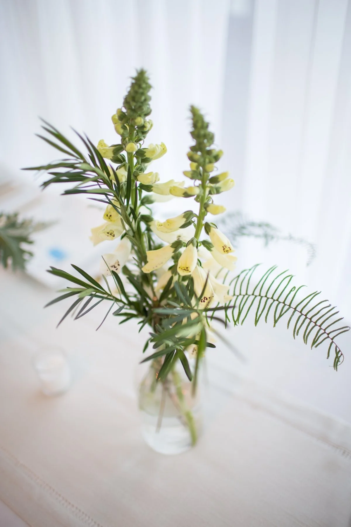 AFA Rentals Modern Ocean Wedding in Maine 50.jpg