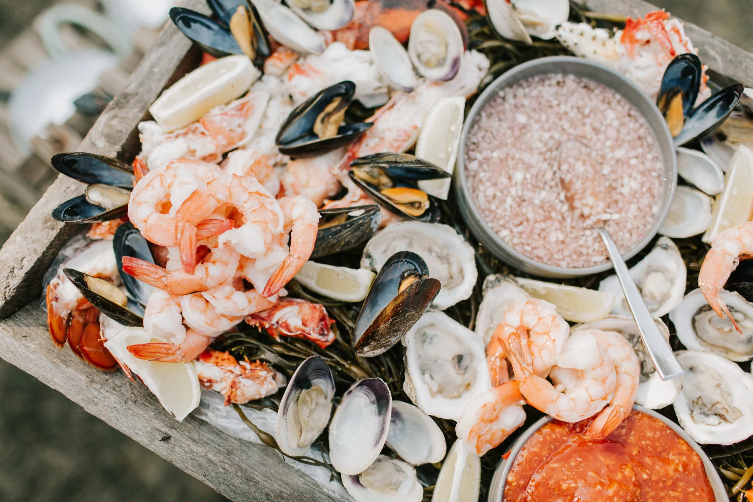 AFA Rentals Hidden Pond Wedding in Maine 11.jpg