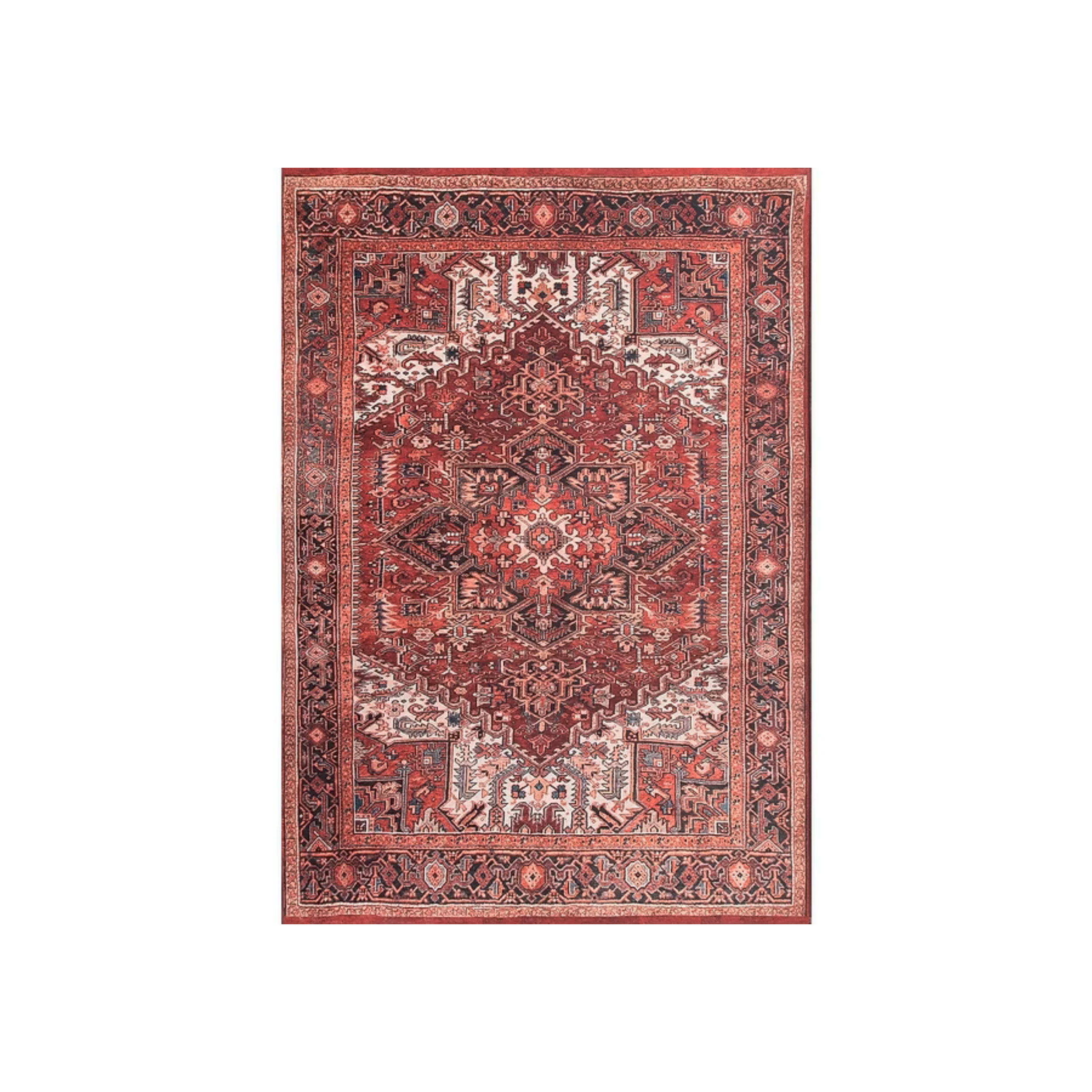 A detailed red and black Persian-style rug with intricate floral and geometric patterns.