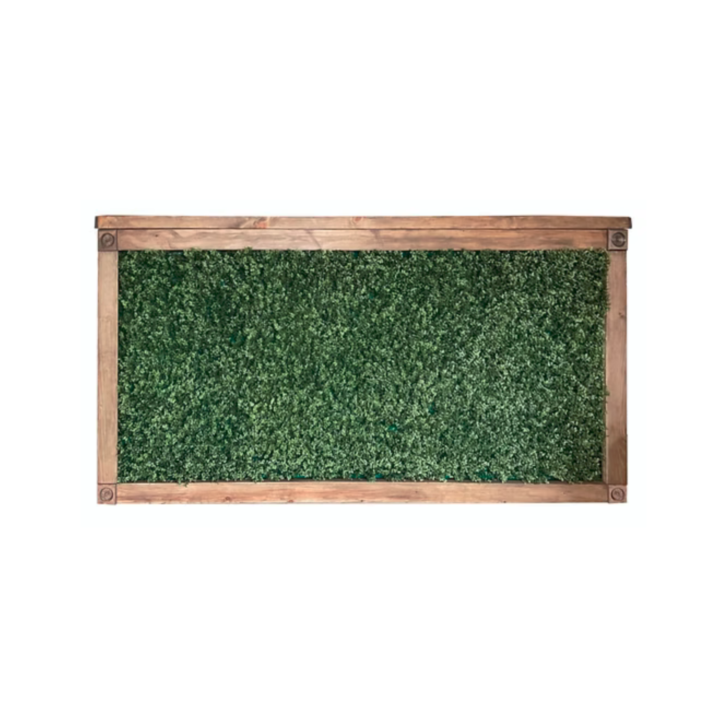 Boxwood and wood framed bar.