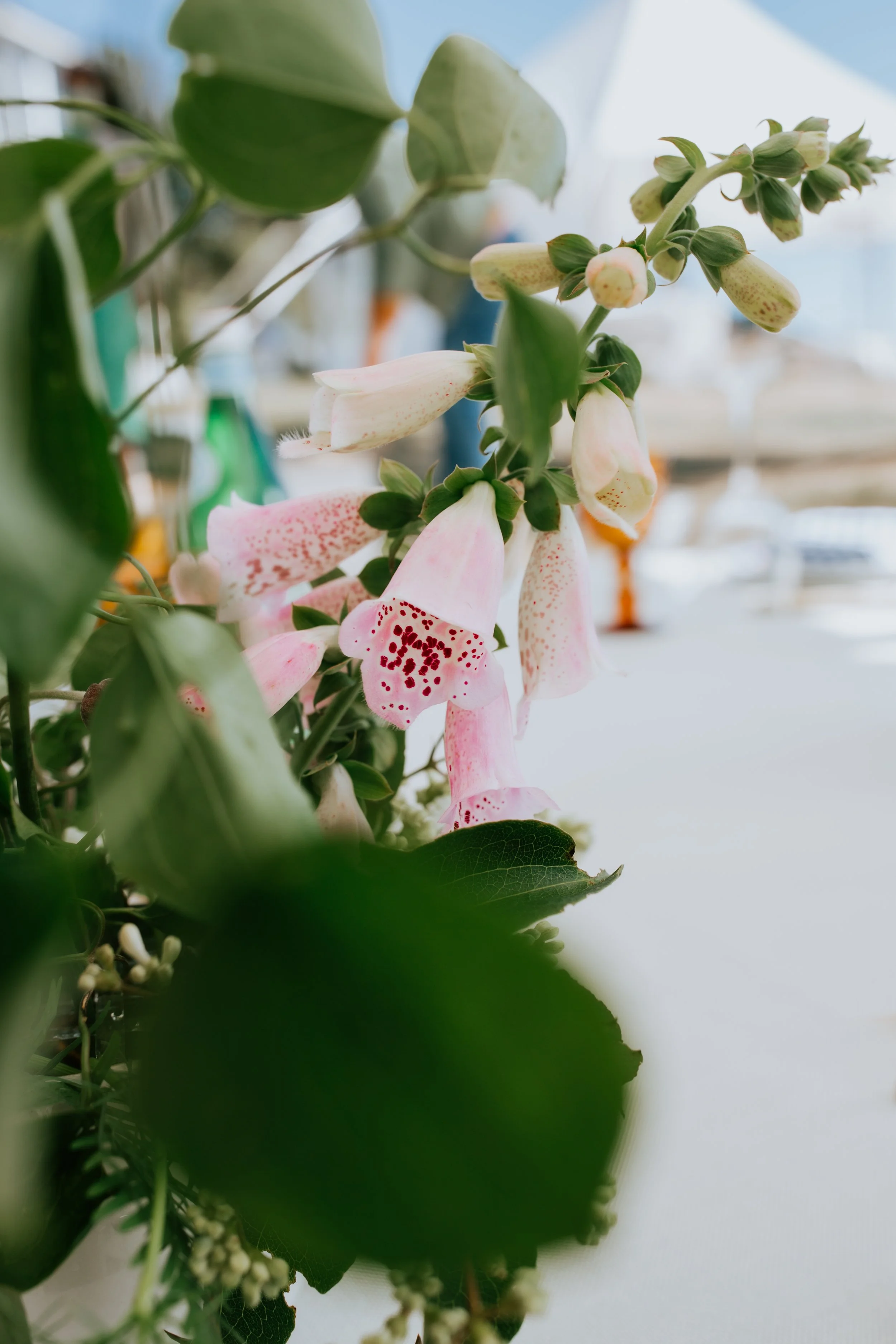 Maine Wedding Rentals A Family Affair (10).jpg