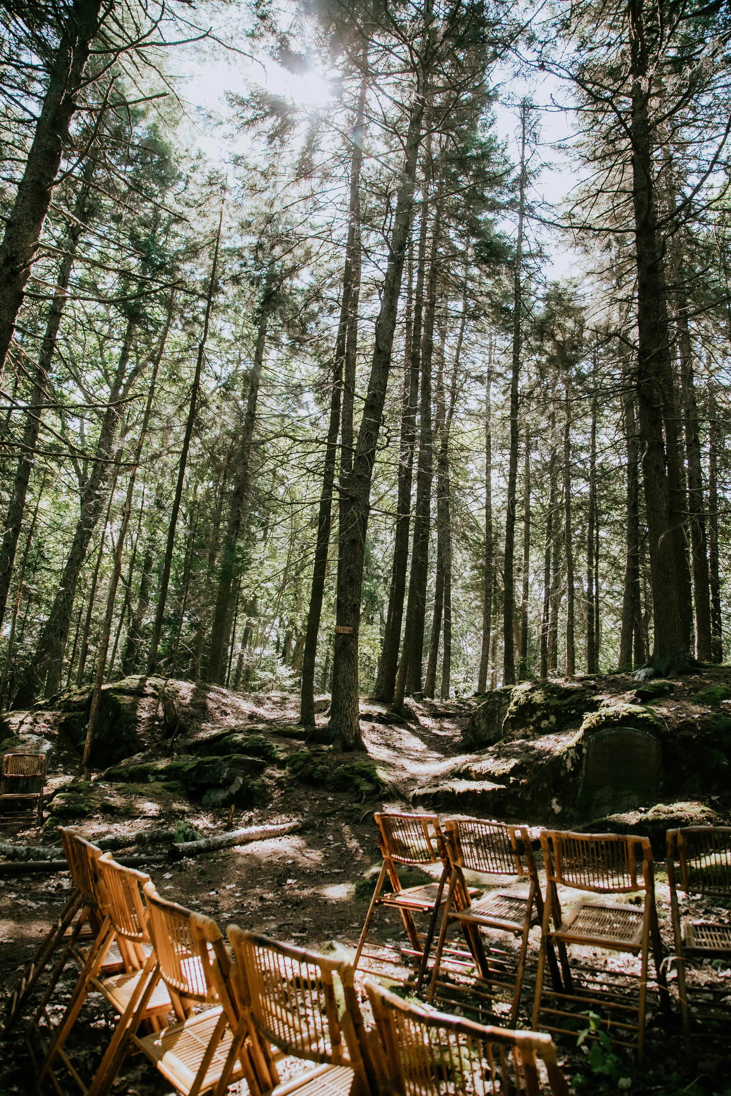 Maine Wedding Rentals A Family Affair (27).jpg